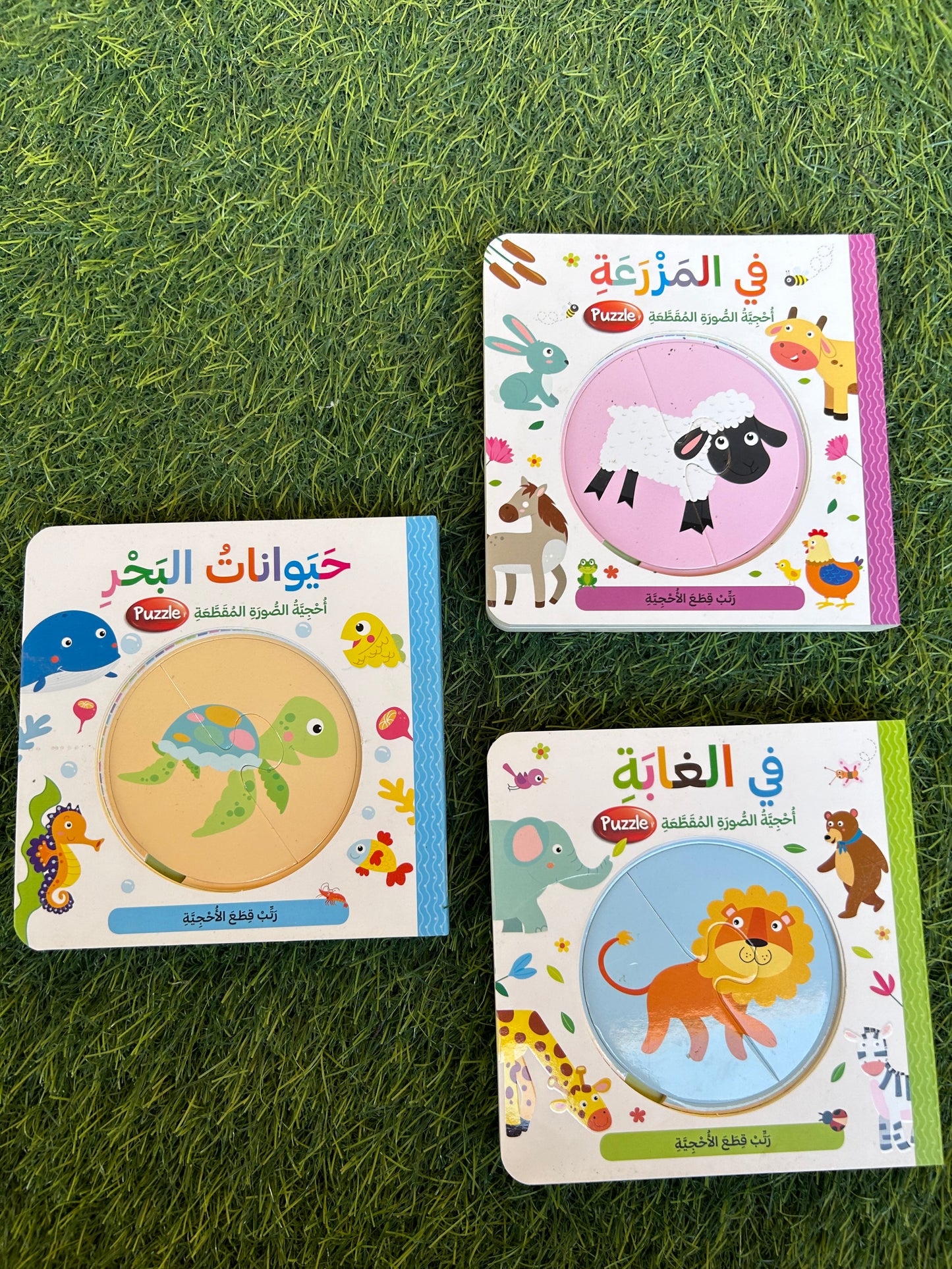 Hard book & puzzle