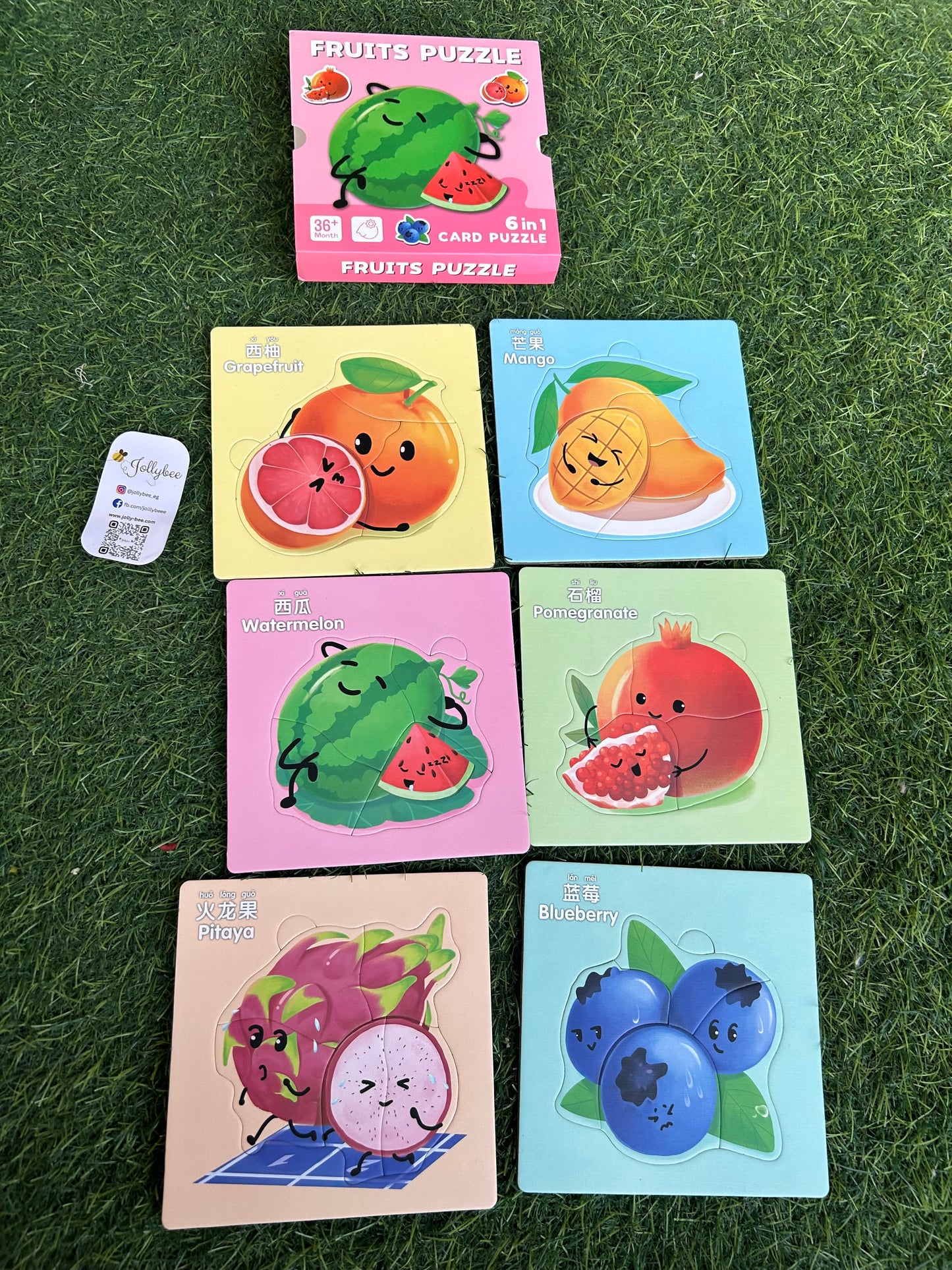 6 in 1 puzzle