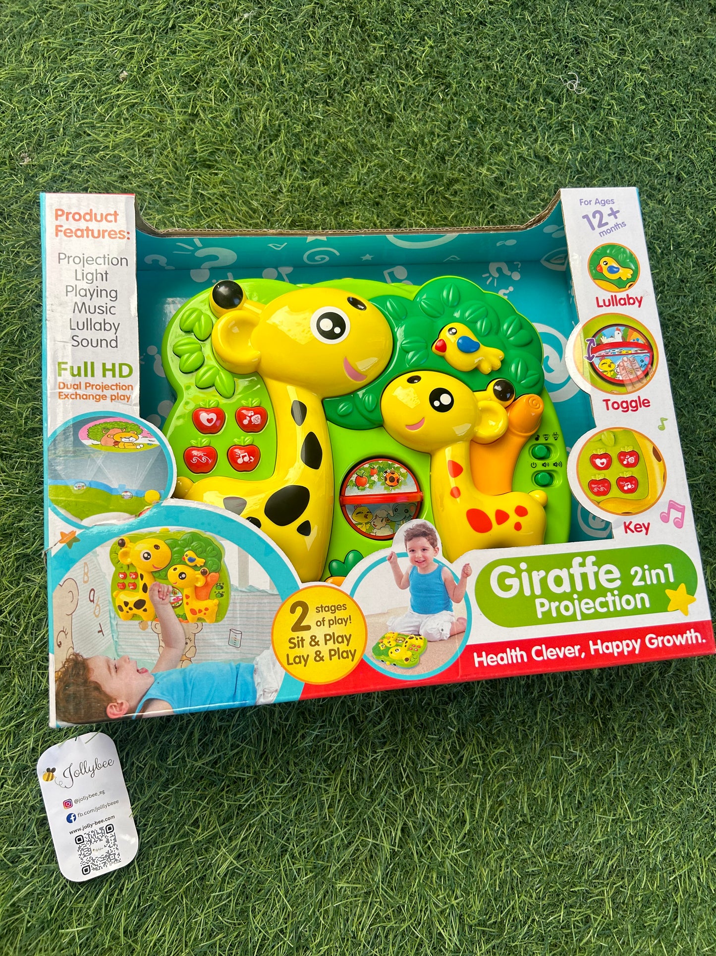 2 in 1 giraffe projection