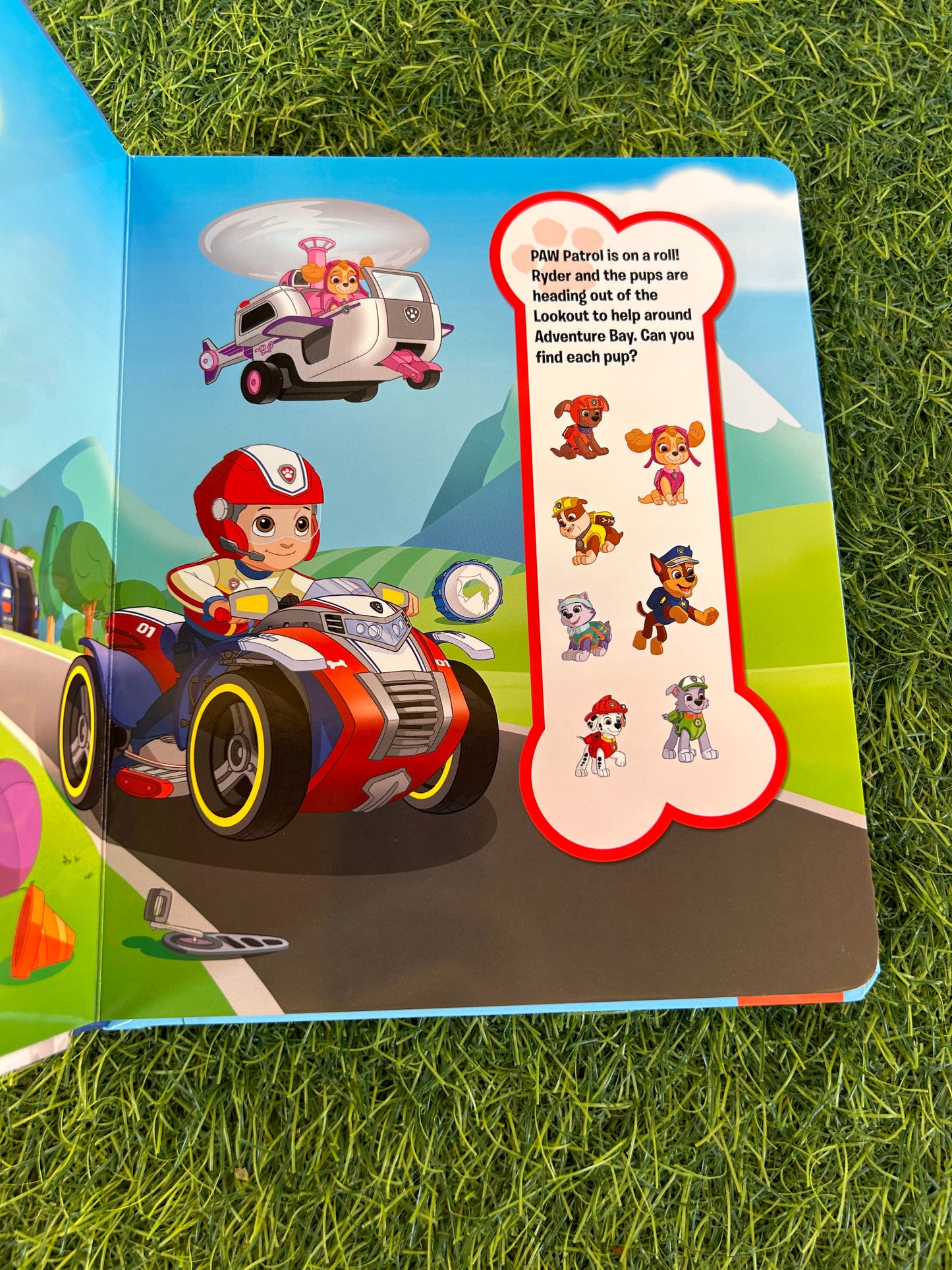 Paw patrol