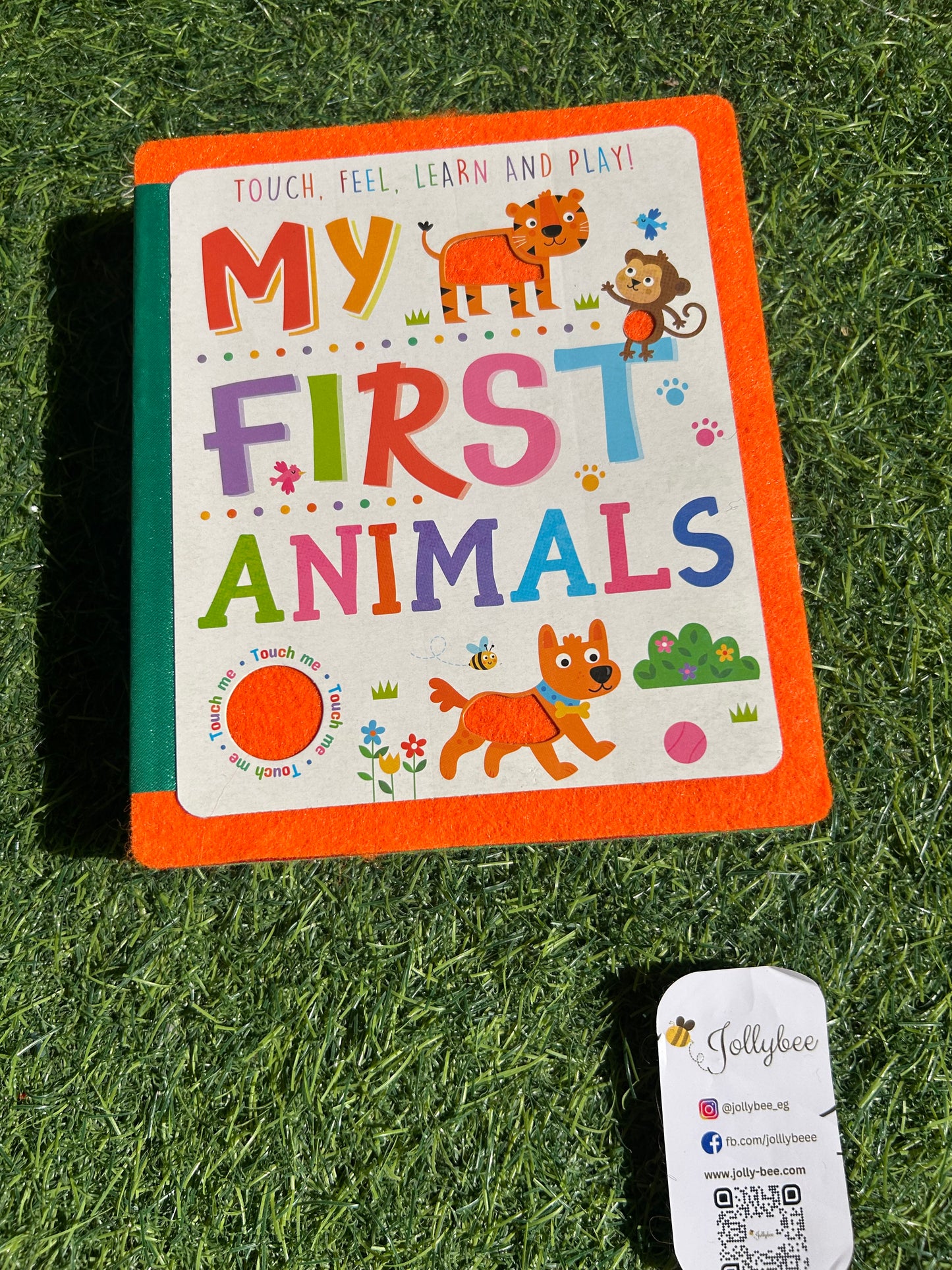 Touch, Feel, learn & play