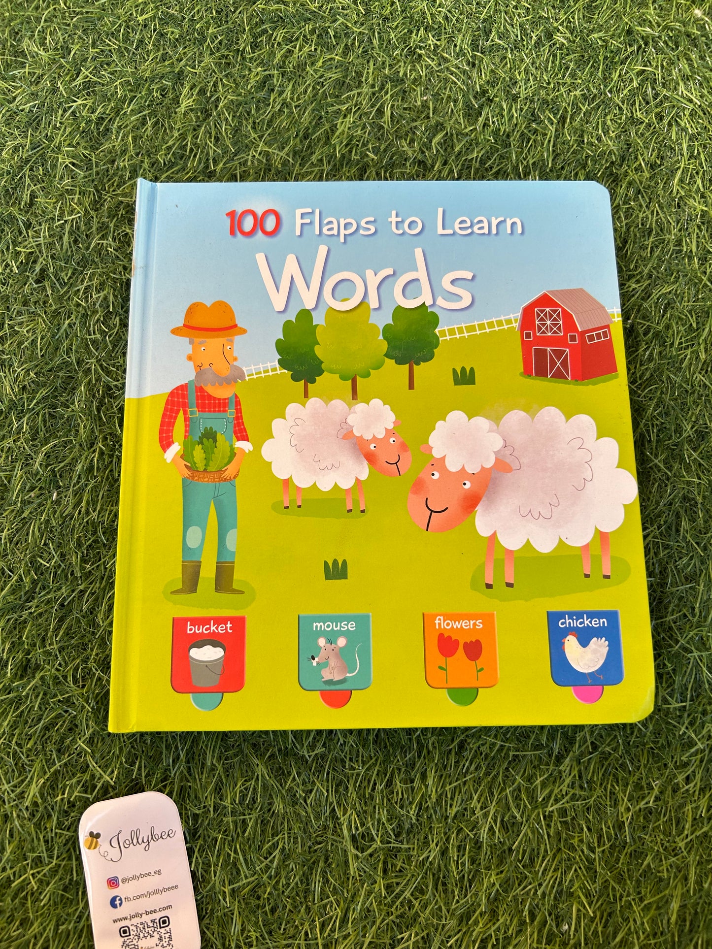 100 Flaps To Learn
