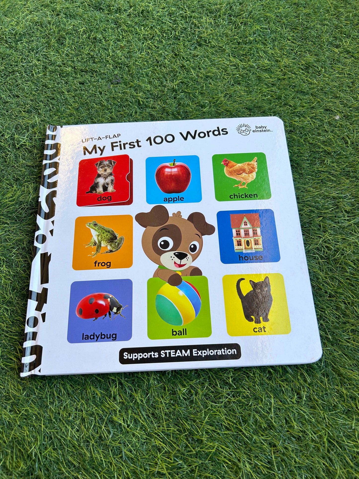 My first 100 words