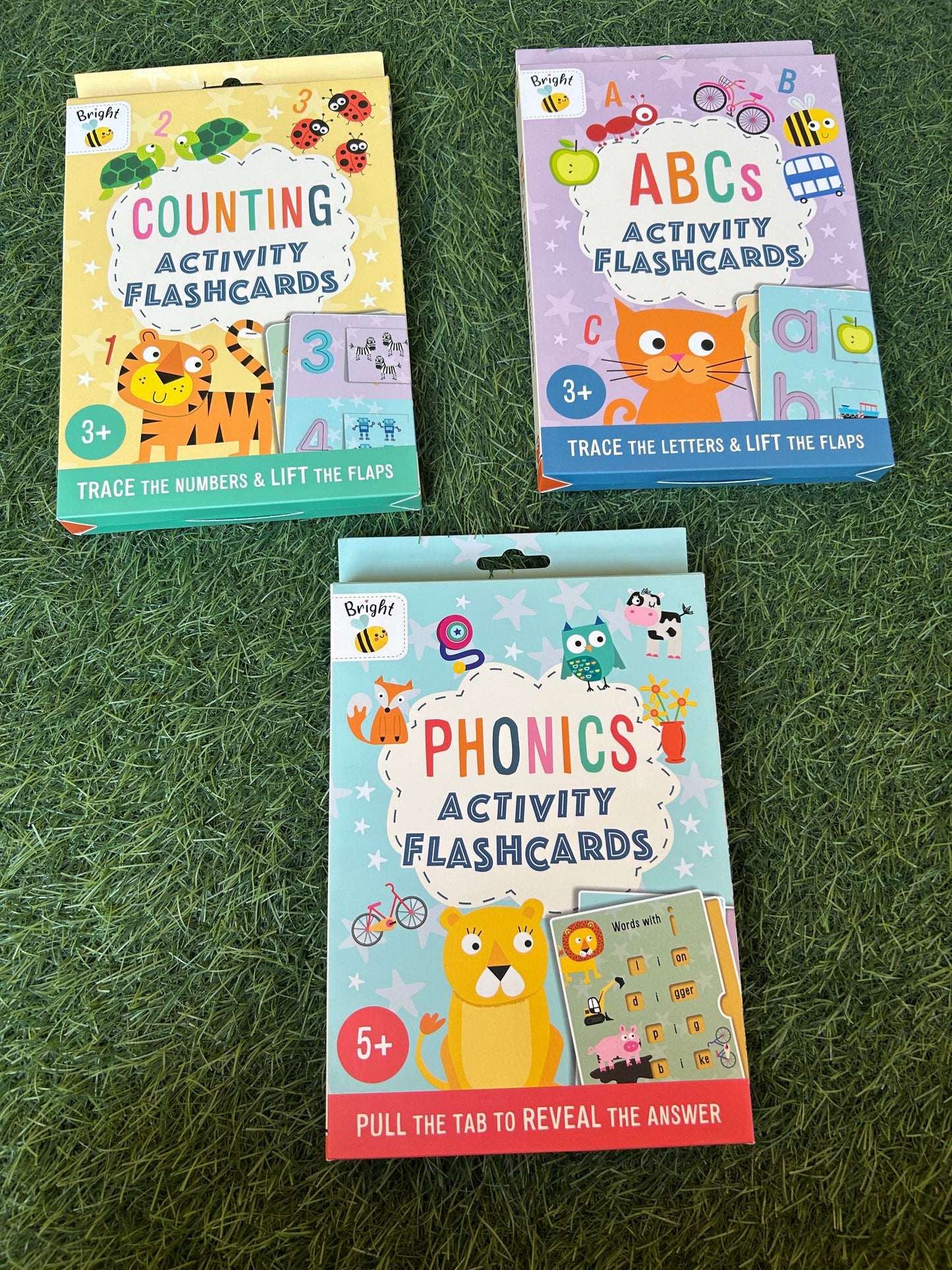 Activity Flashcards