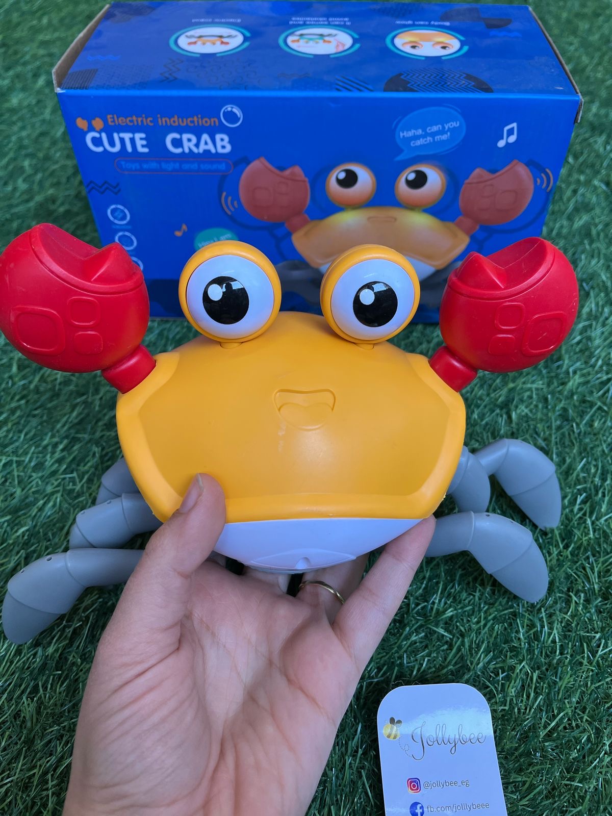 Cute crab 🦀