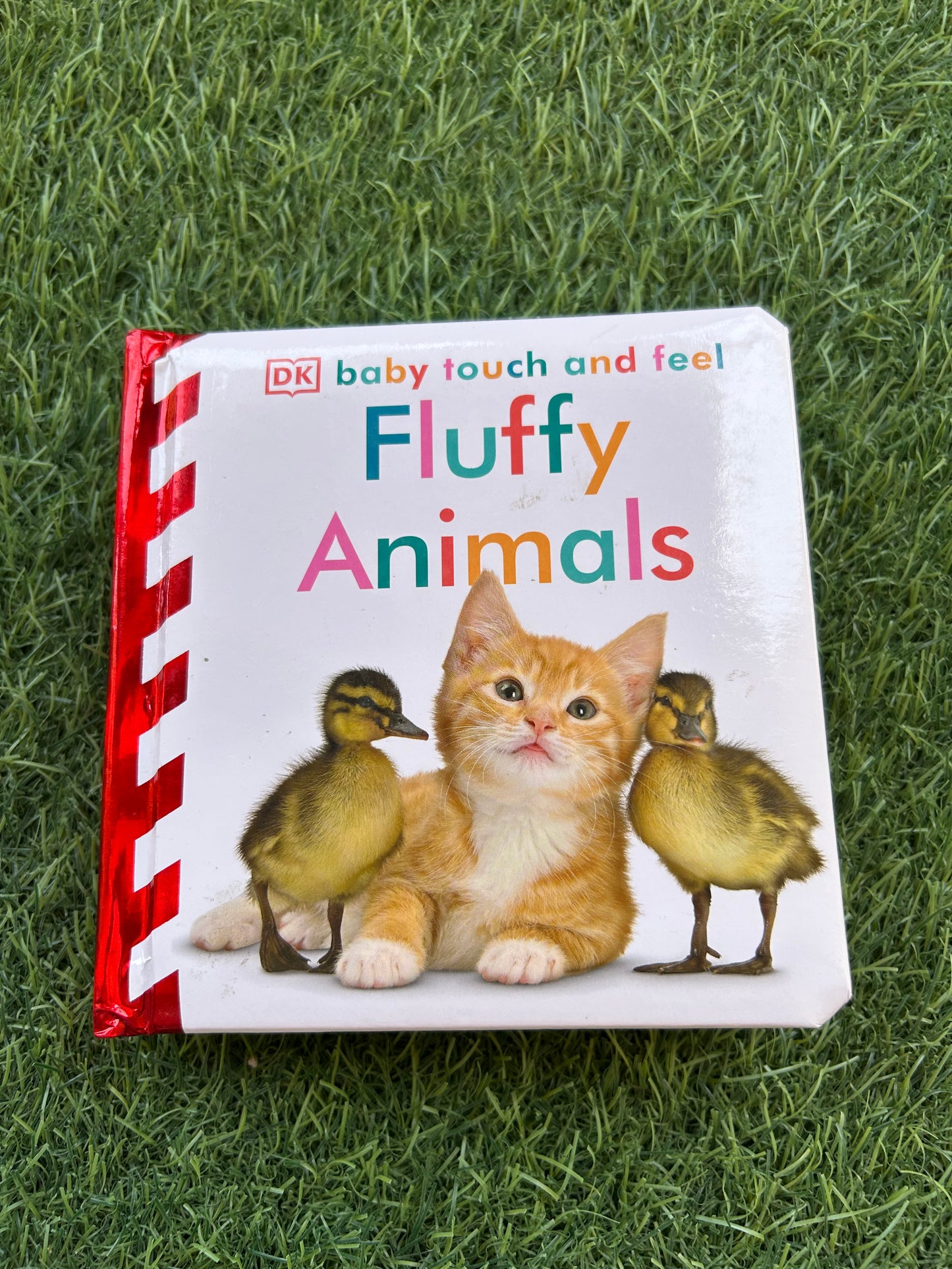 Baby Touch and Feel