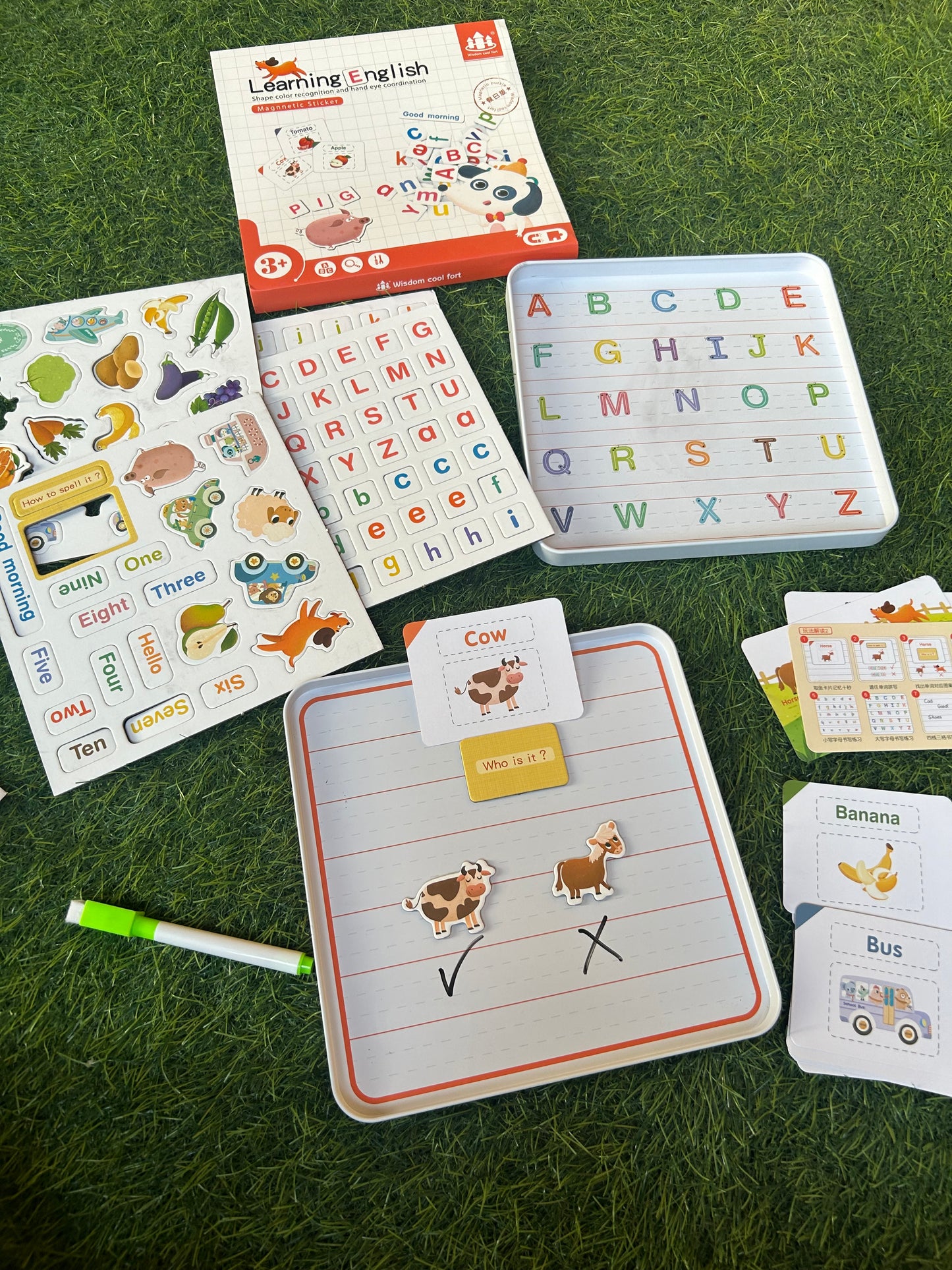 Educational magnetic box