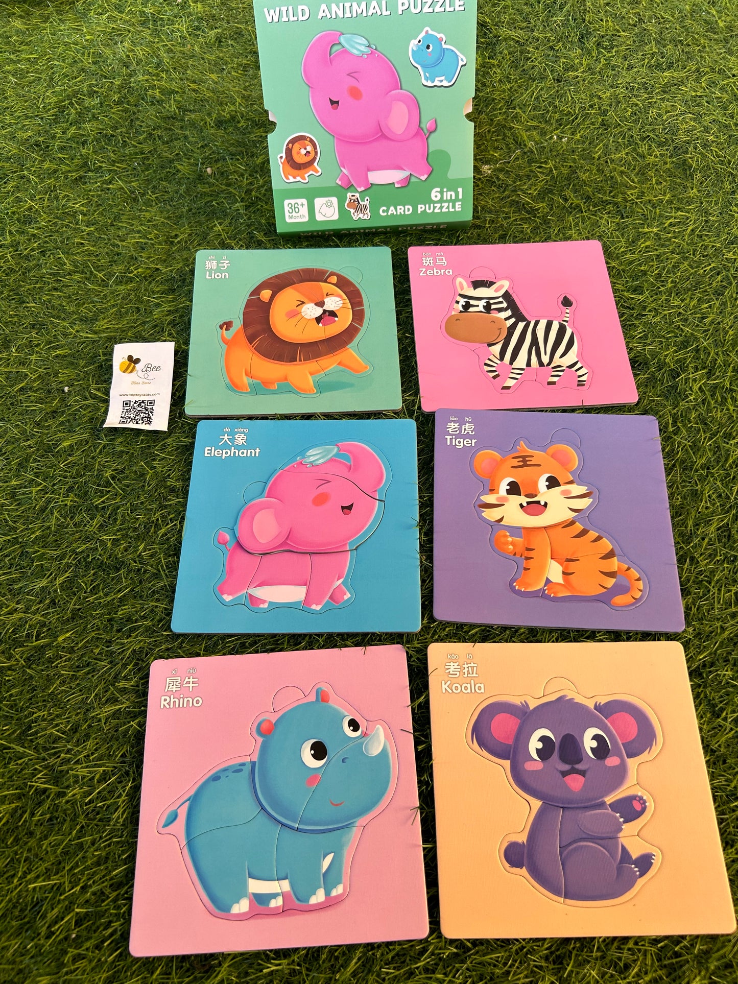 6 in 1 puzzle