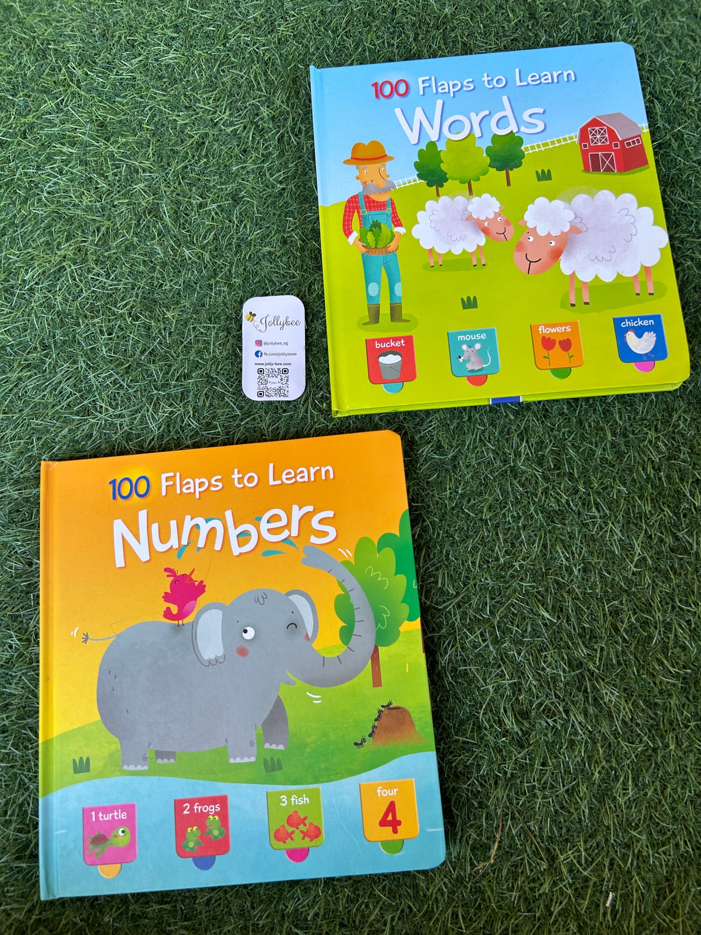 100 Flaps To Learn