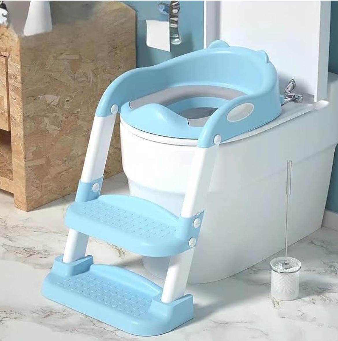 Ladder and potty seat