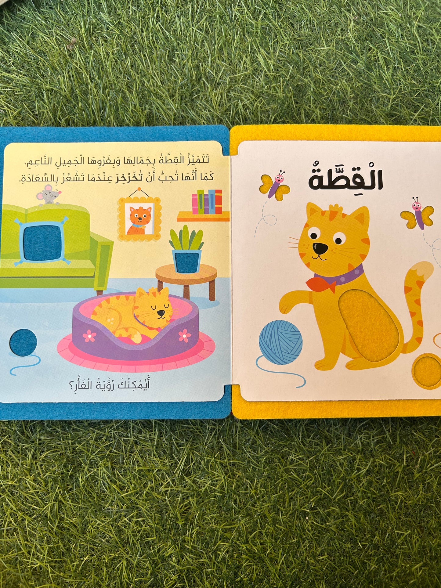 Touch, Feel, learn & play