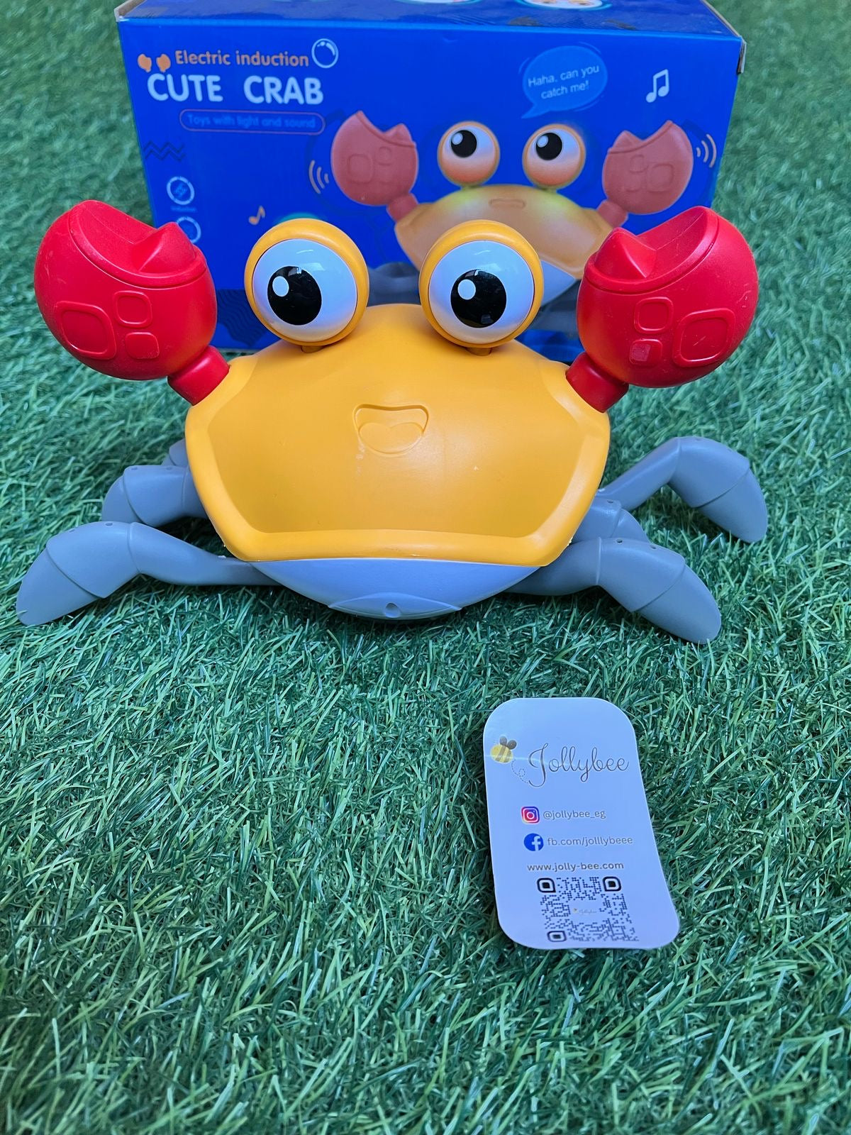 Cute crab 🦀