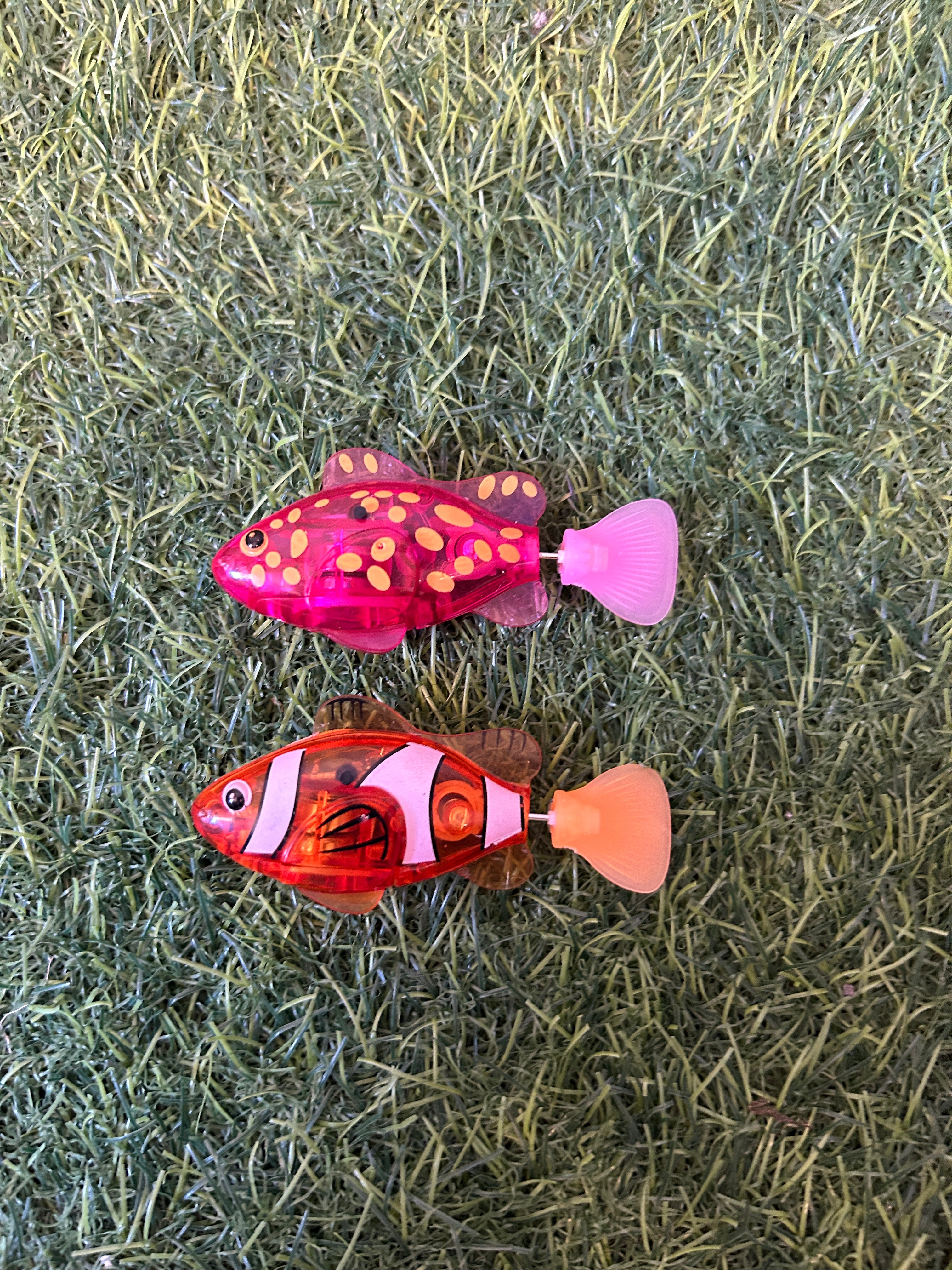 Moving Fish 🐠