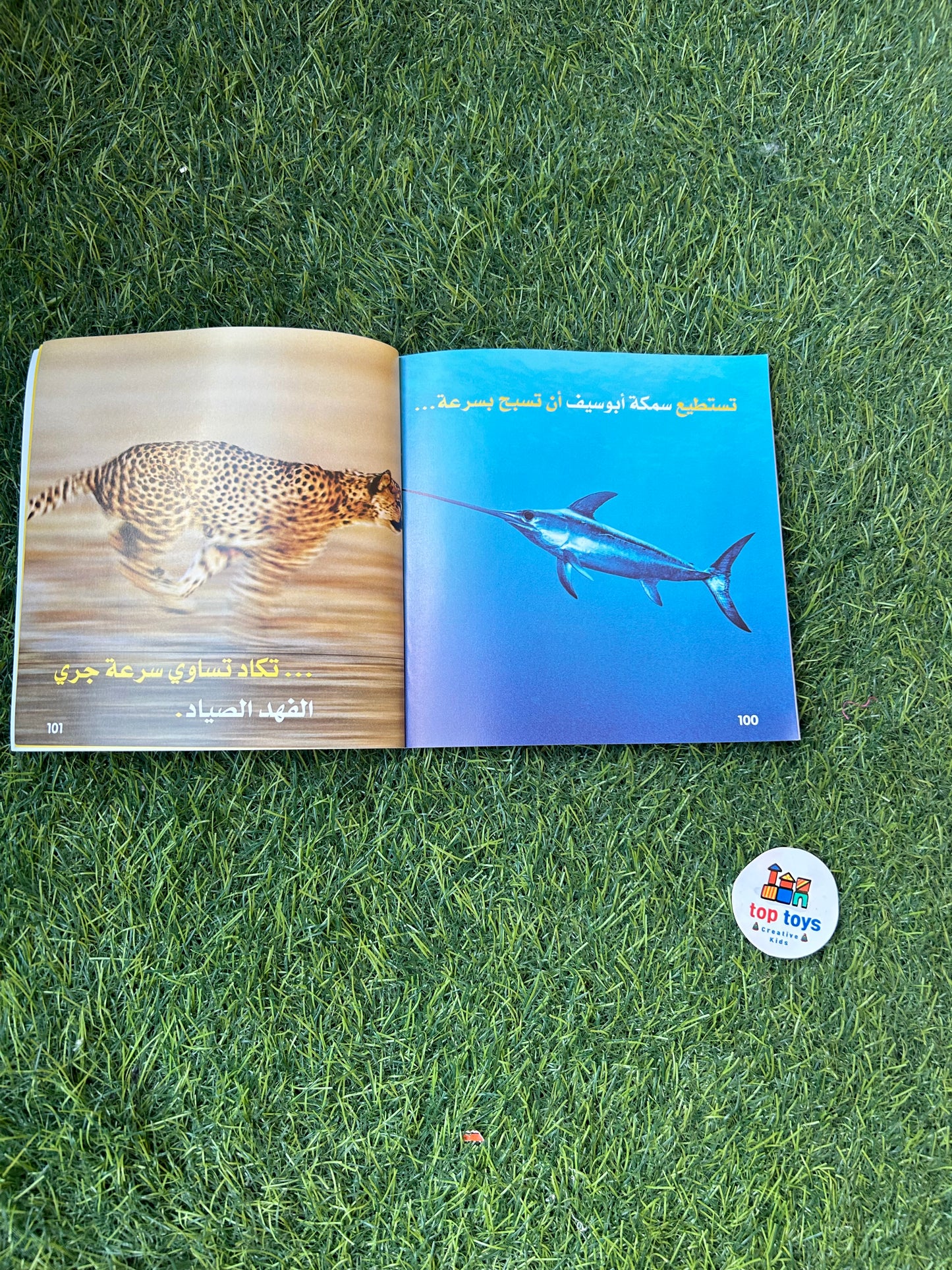 National Geographic kids