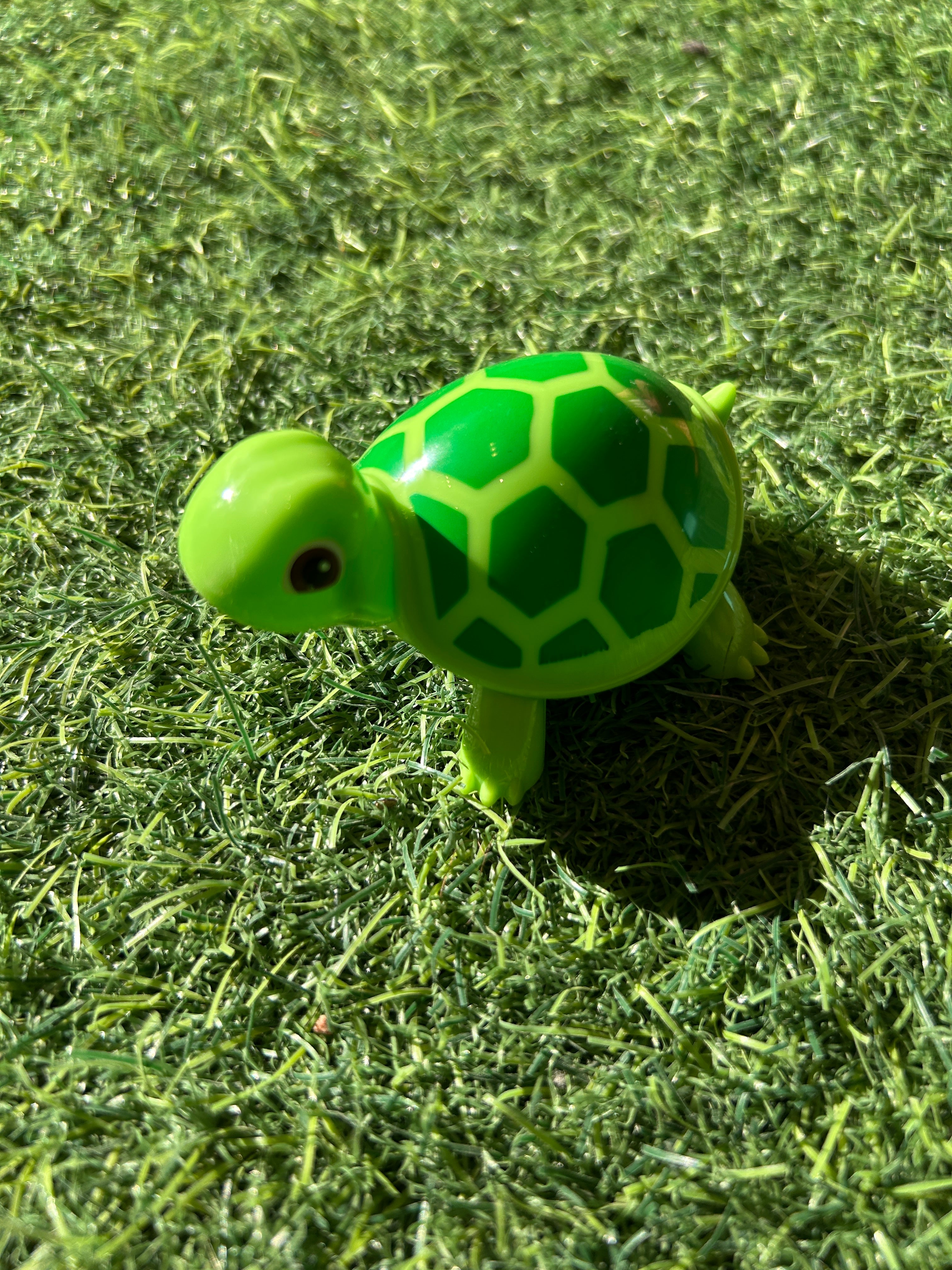 moving turtle