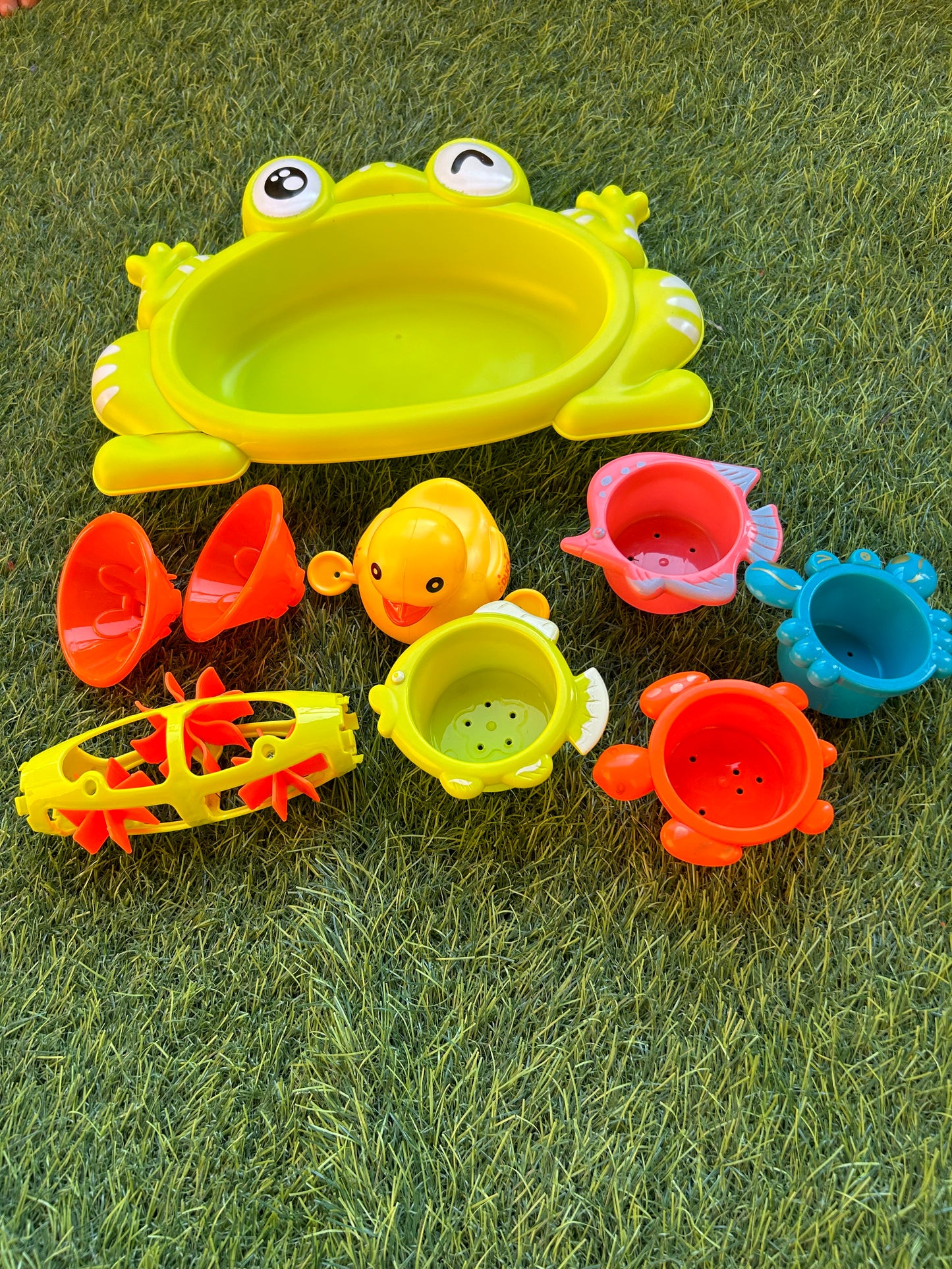 Frog tools water
