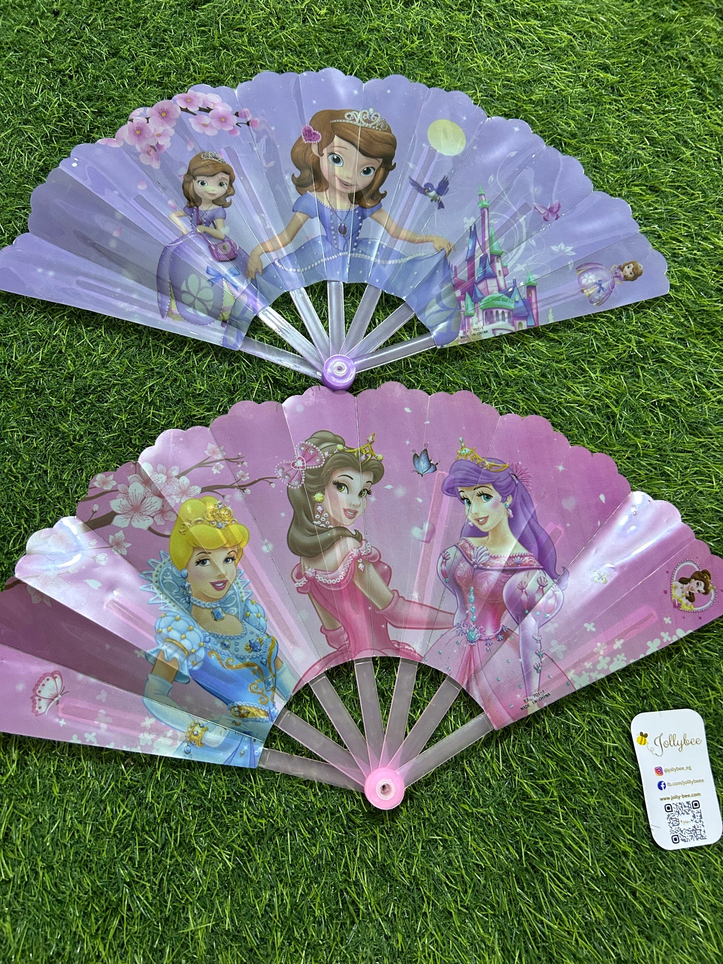 Foldable Hand Fan