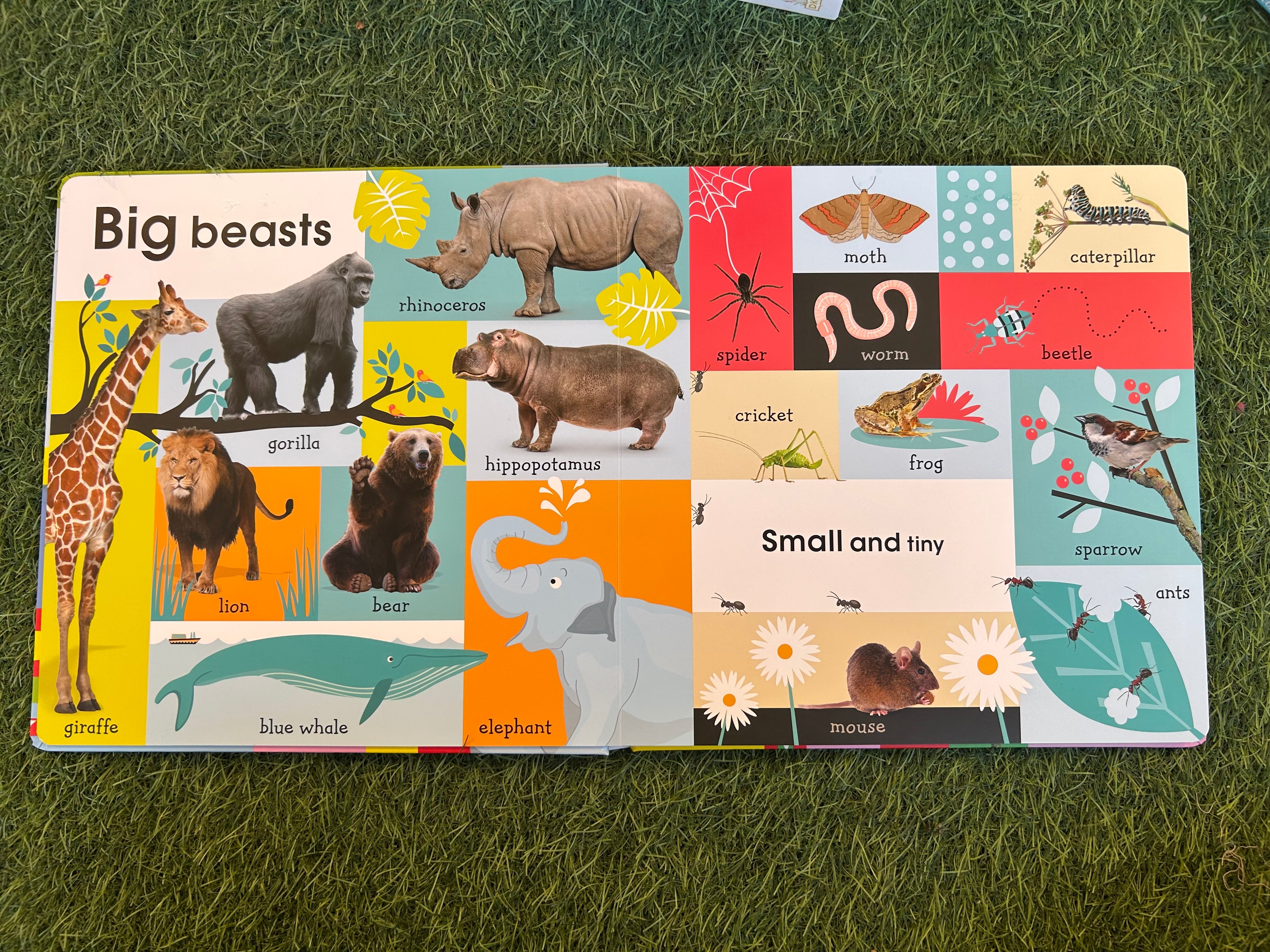 100 First Animals