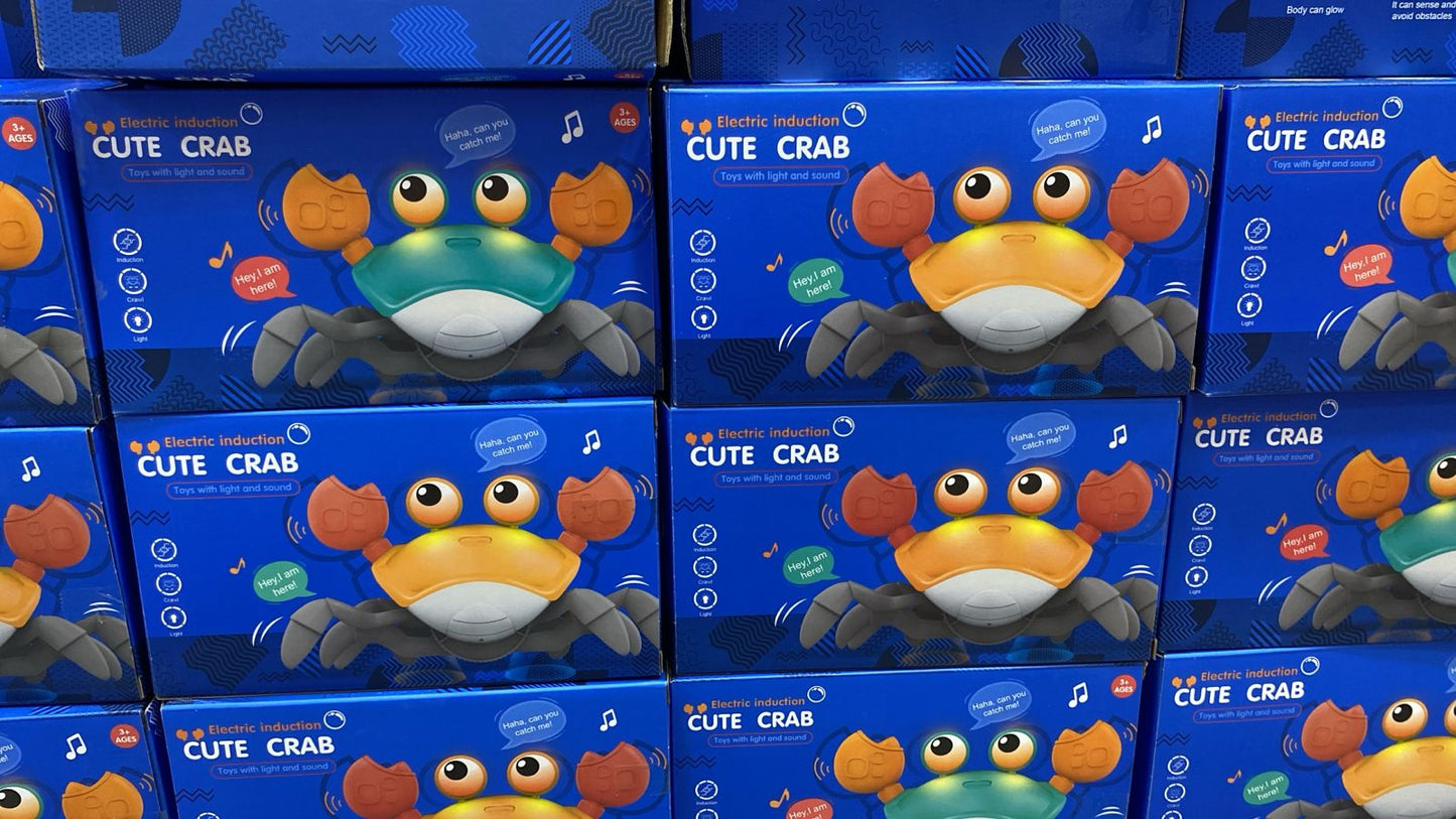 Cute crab 🦀