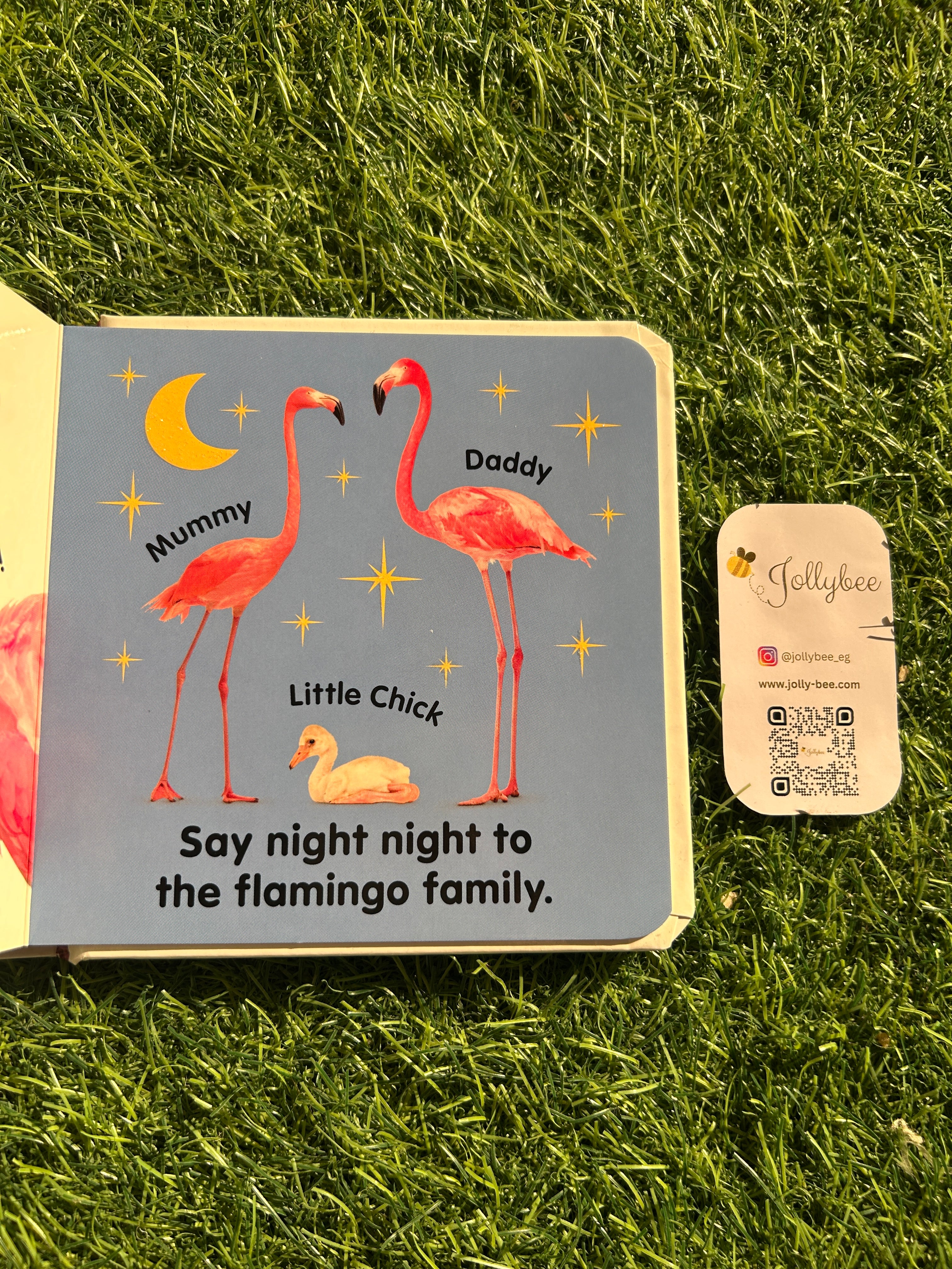 Flamingo Book 🦩