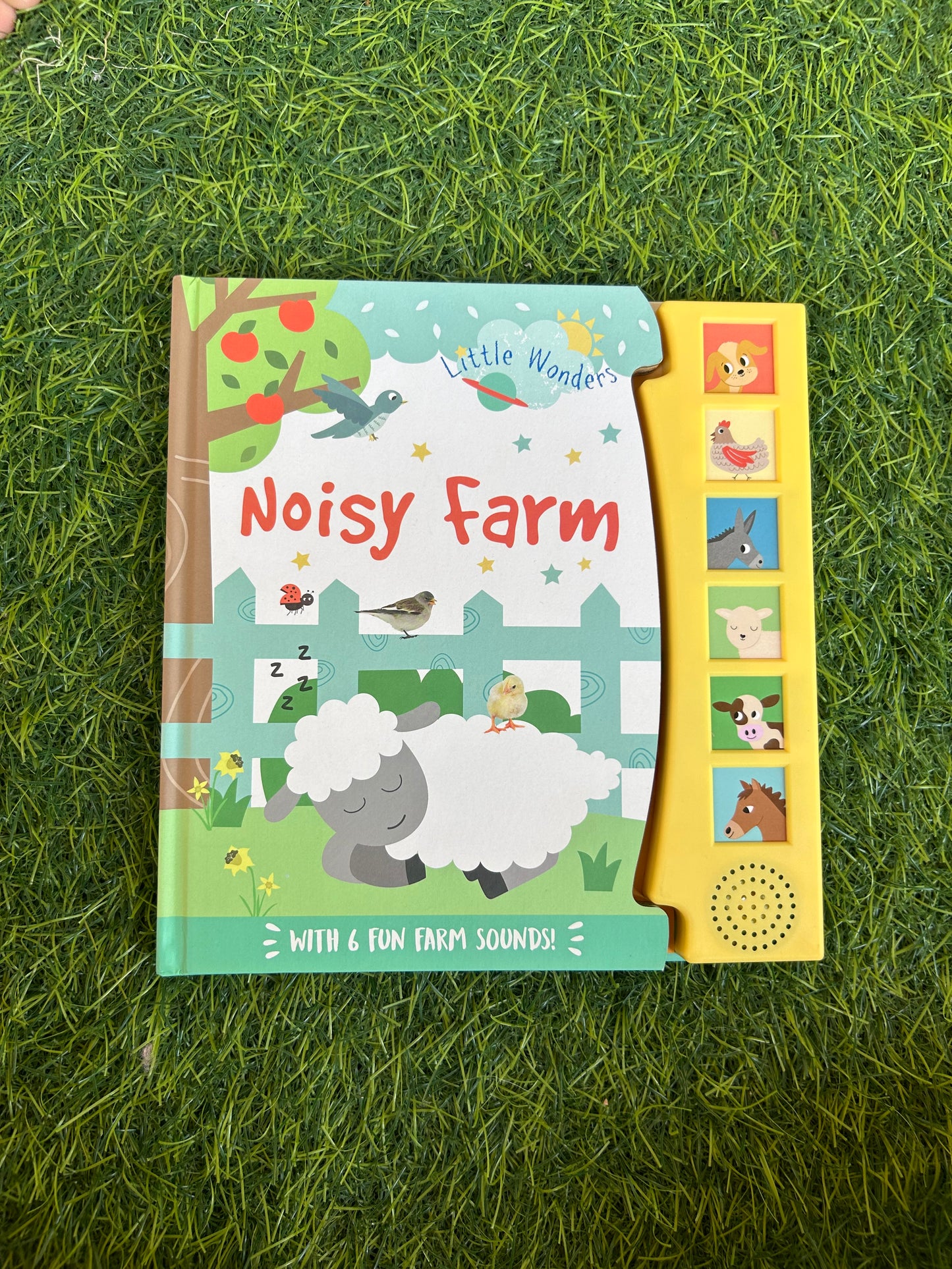 Noisy frog and friends