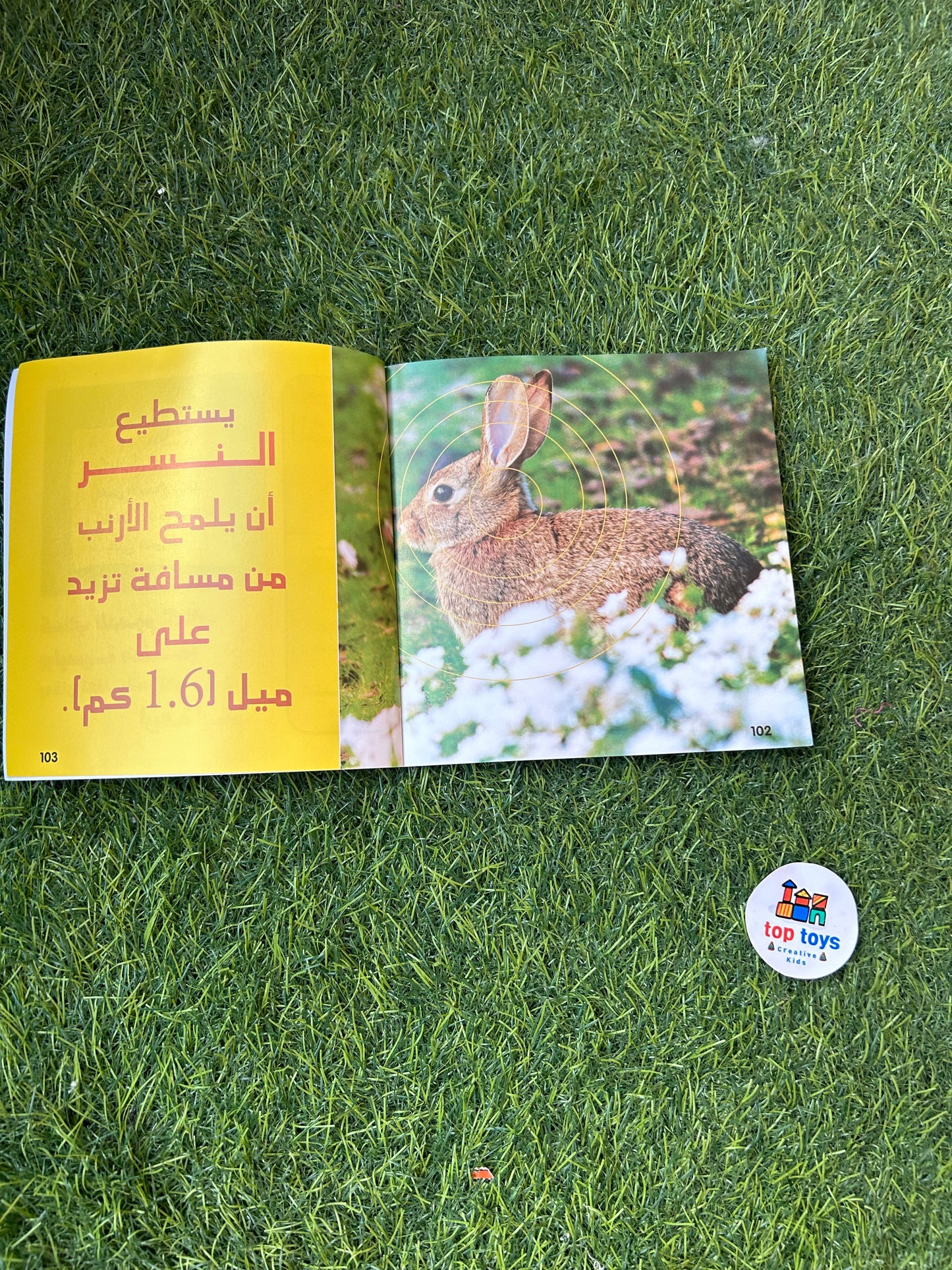 National Geographic kids