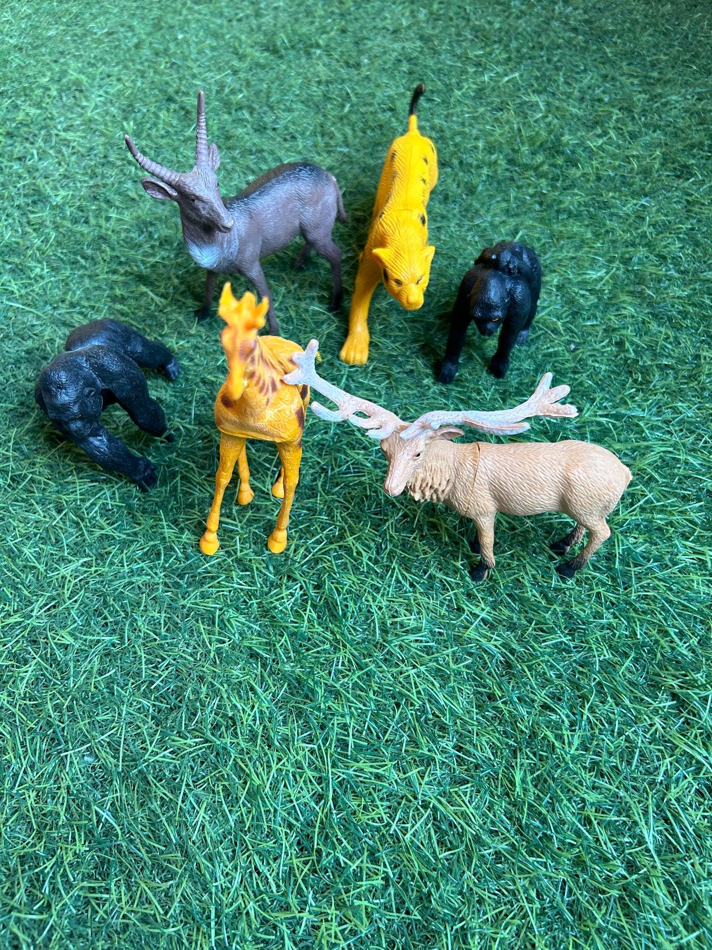 Forest animals