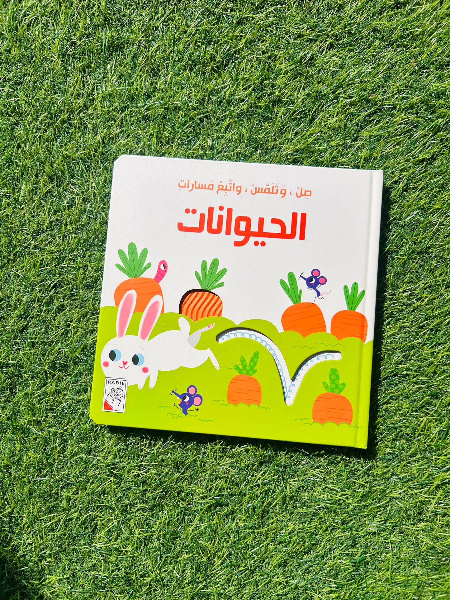 صل وتلمس  واتبع مسارات