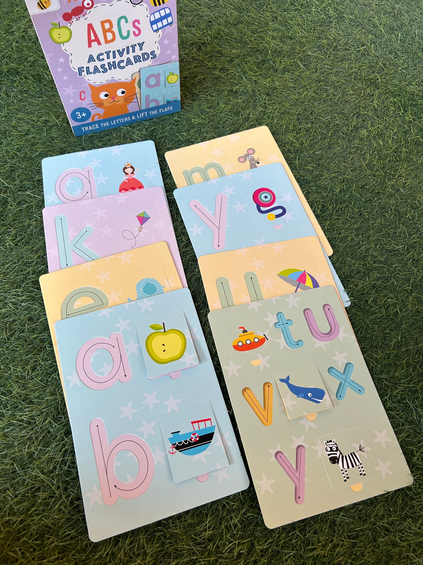 Activity Flashcards