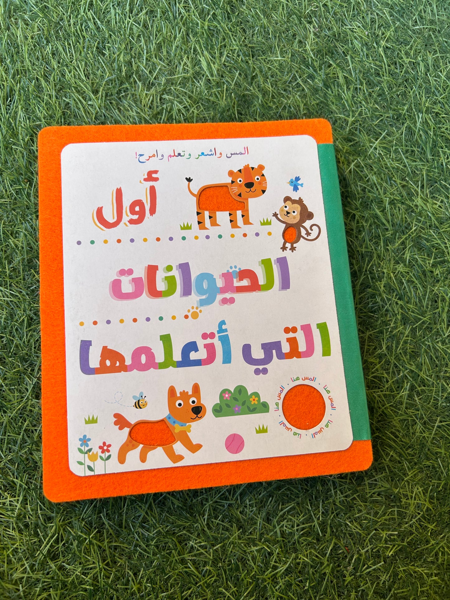 Touch, Feel, learn & play