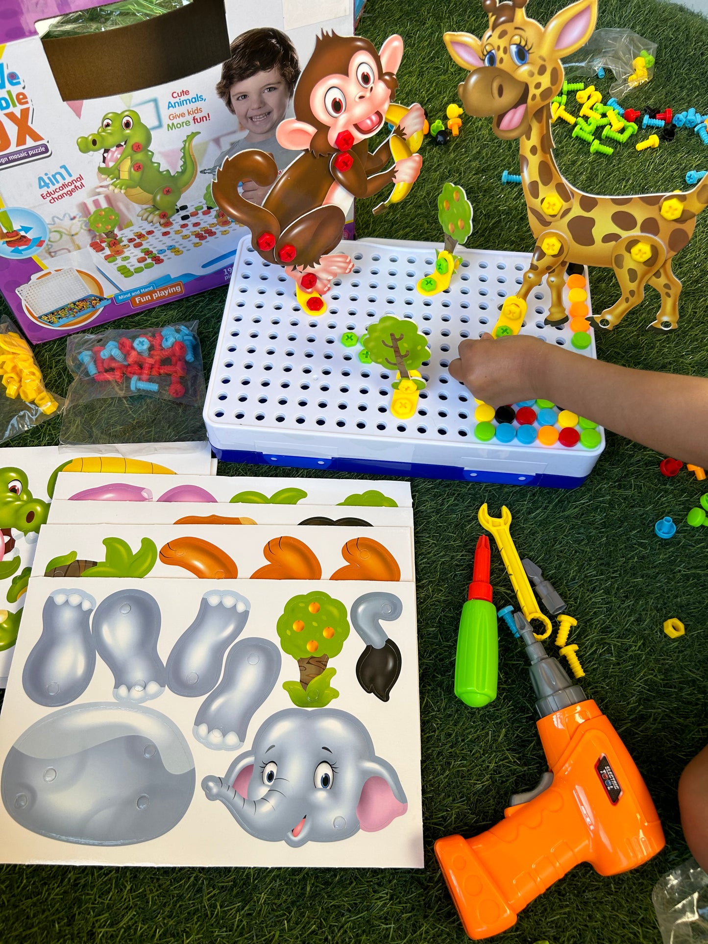 Creative box with Animals