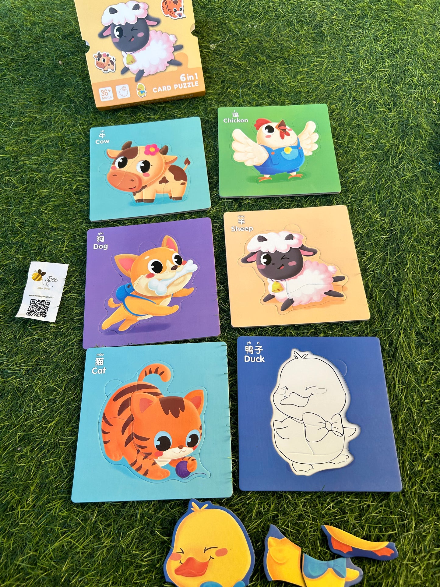 6 in 1 puzzle