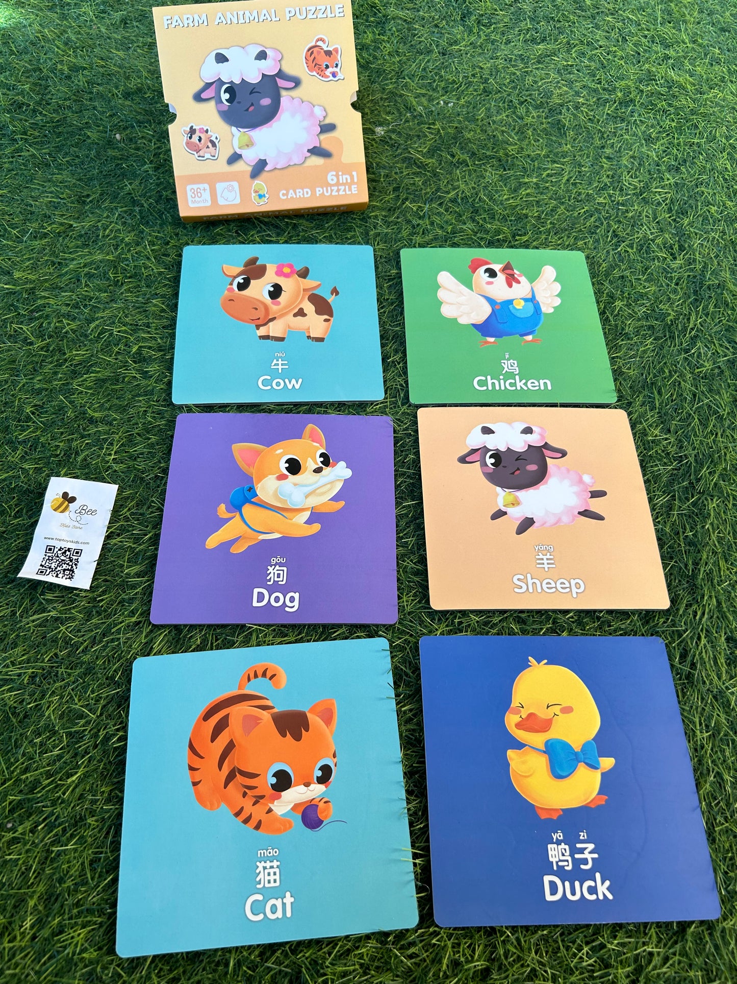 6 in 1 puzzle