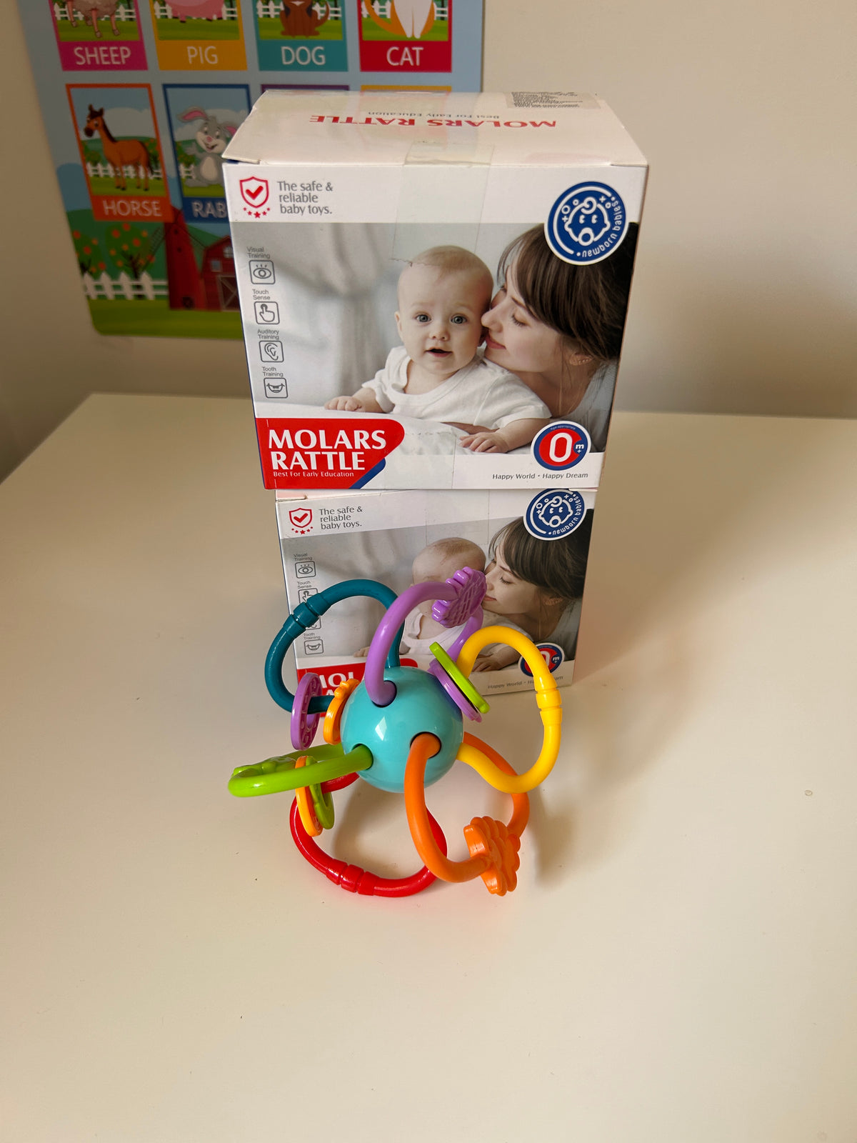 Molars Rattle
