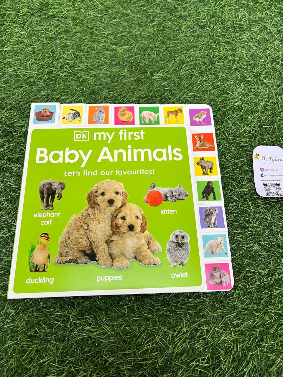 My first baby animals