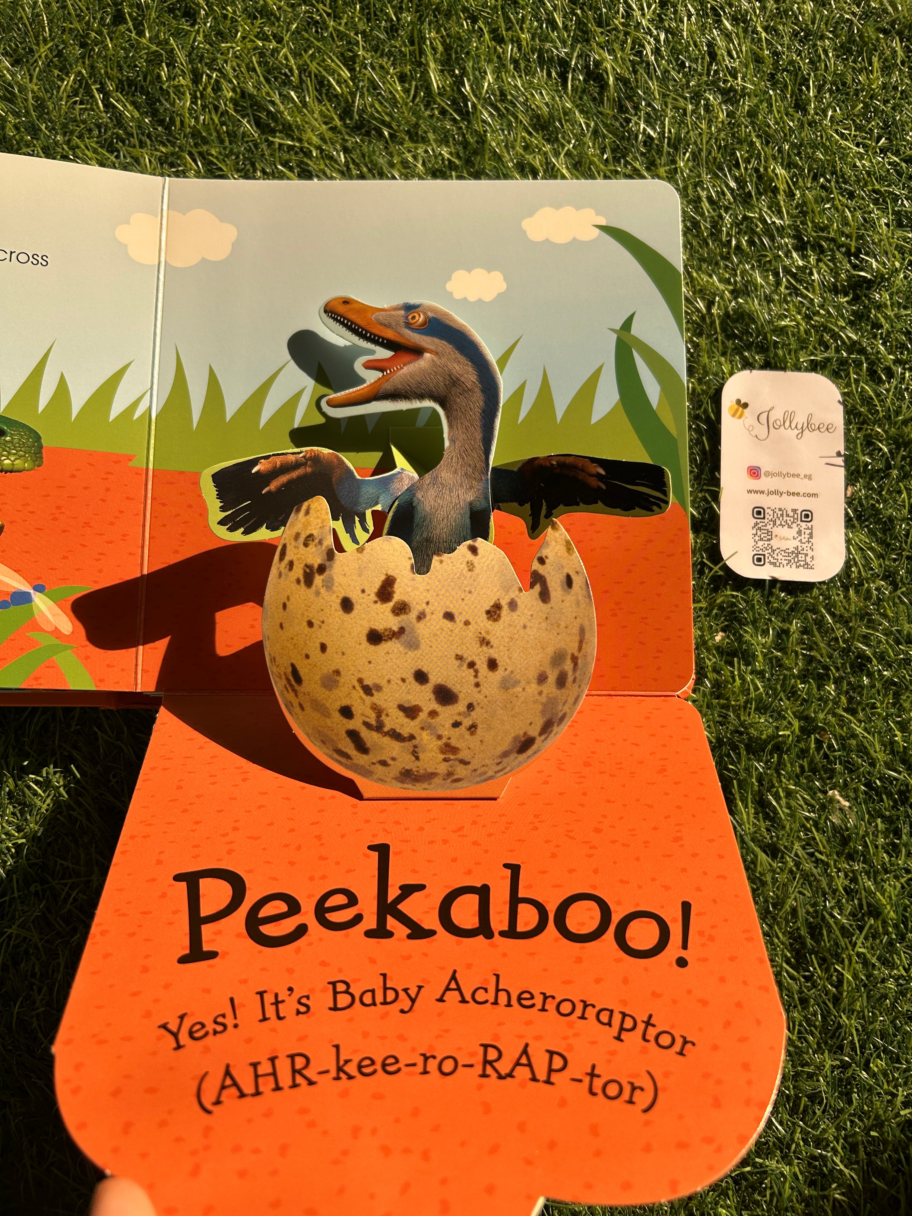 Pop Up Peekaboo Dinosaur🦕