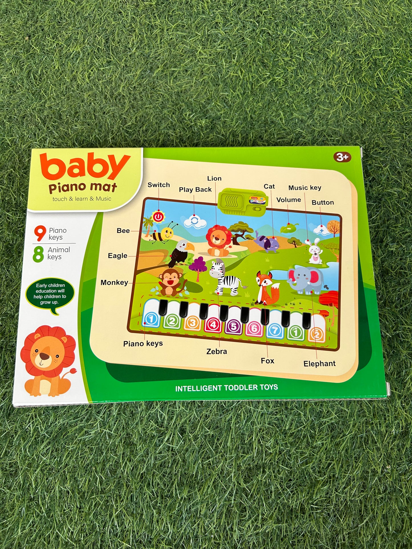 Baby piano Mat
