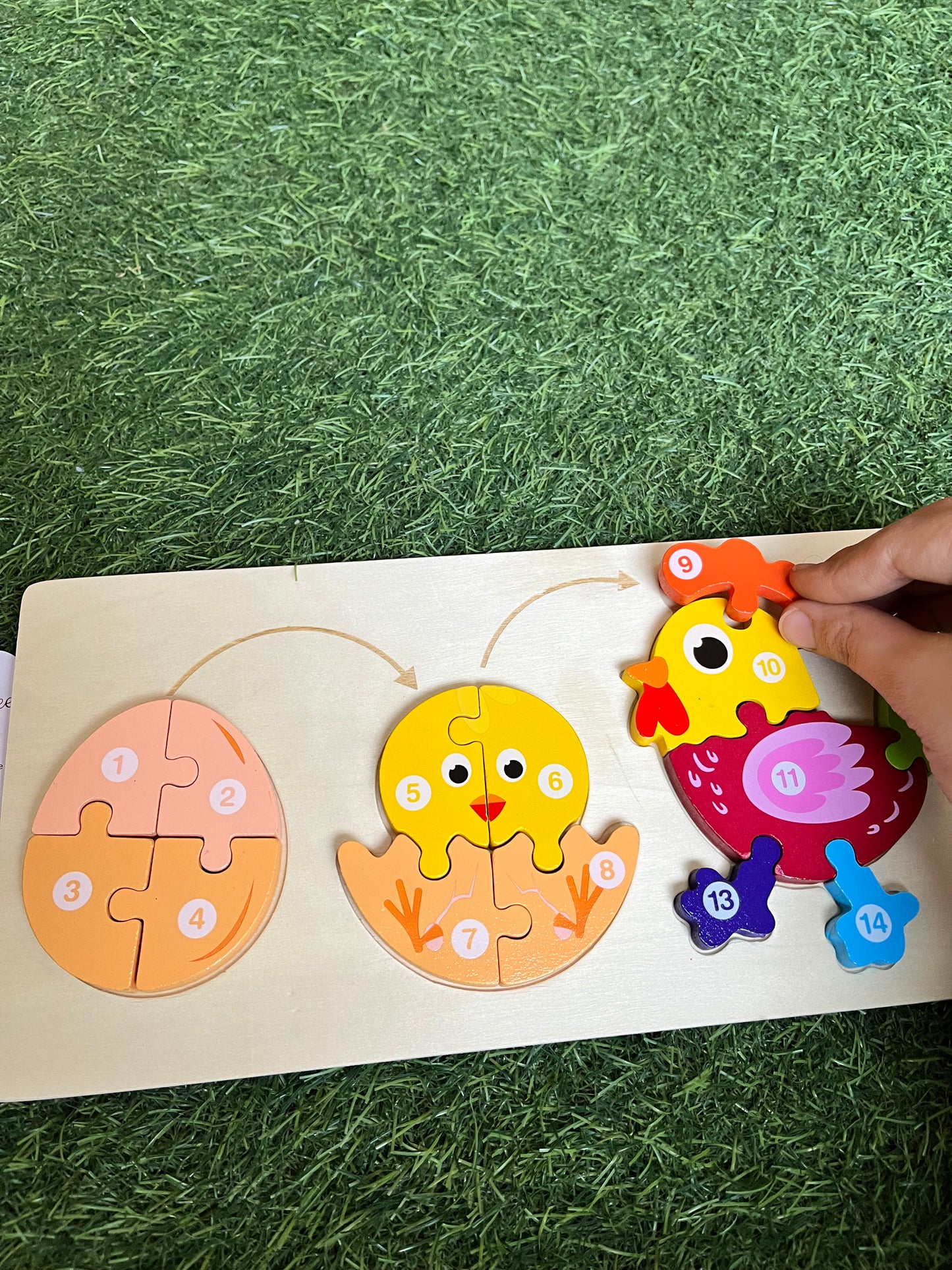 Animals puzzle