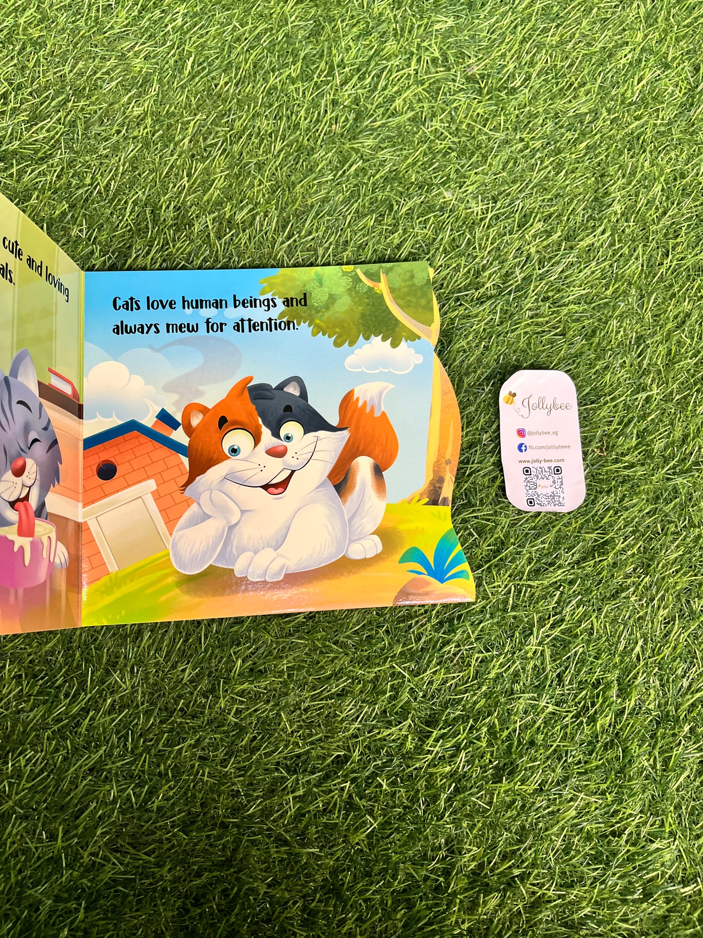 Cat Book🐈