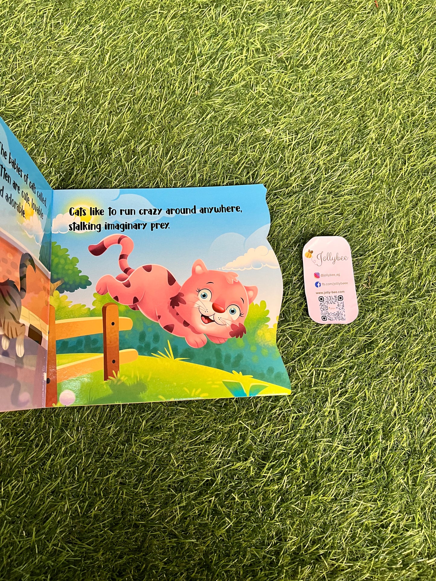 Cat Book🐈