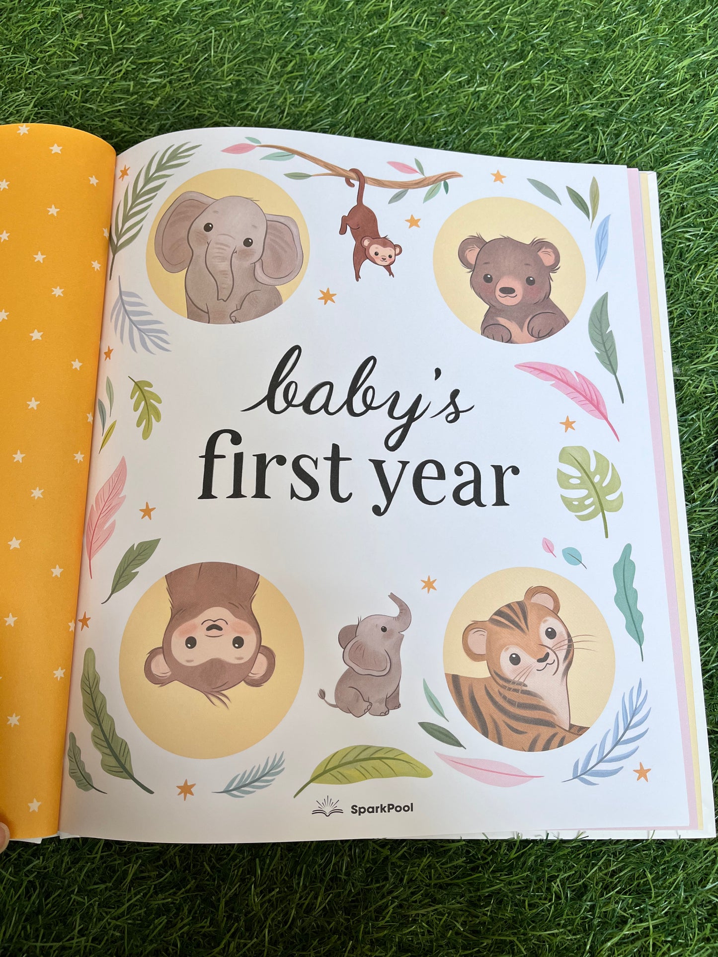 Baby’s first year 🥰