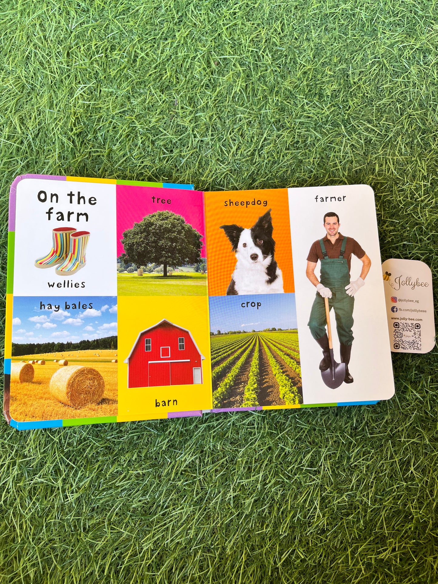 First Farm Words Book
