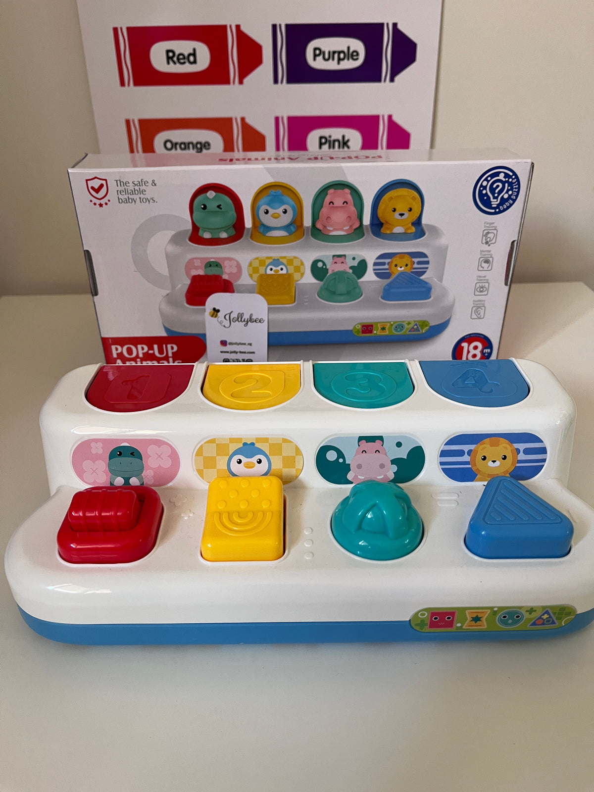 Pop-up Animals