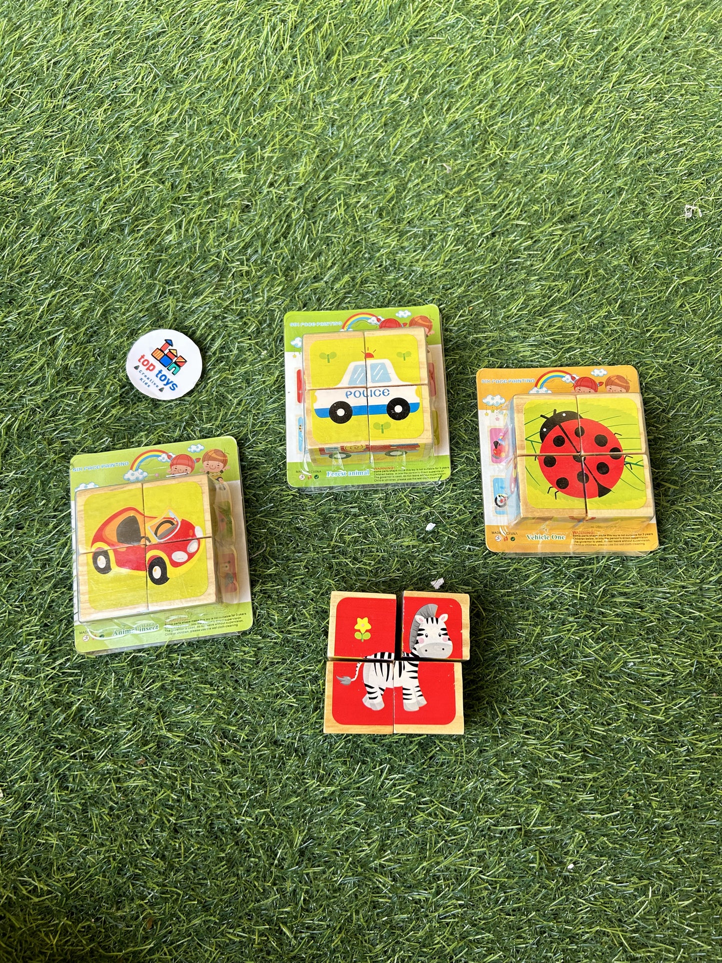 Wooden Puzzle 6*1