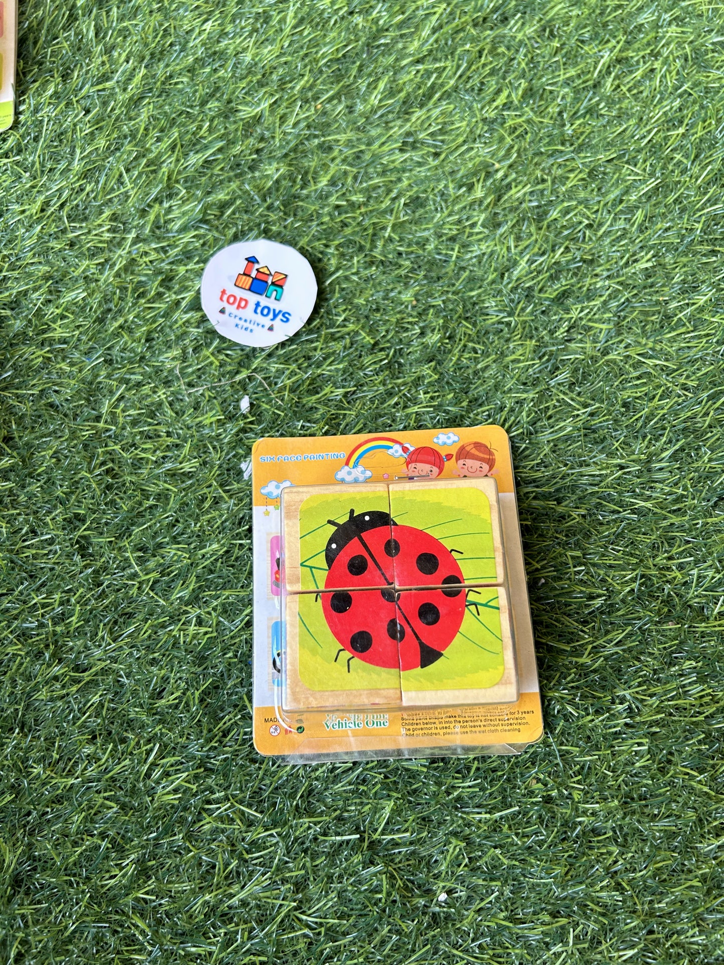 Wooden Puzzle 6*1