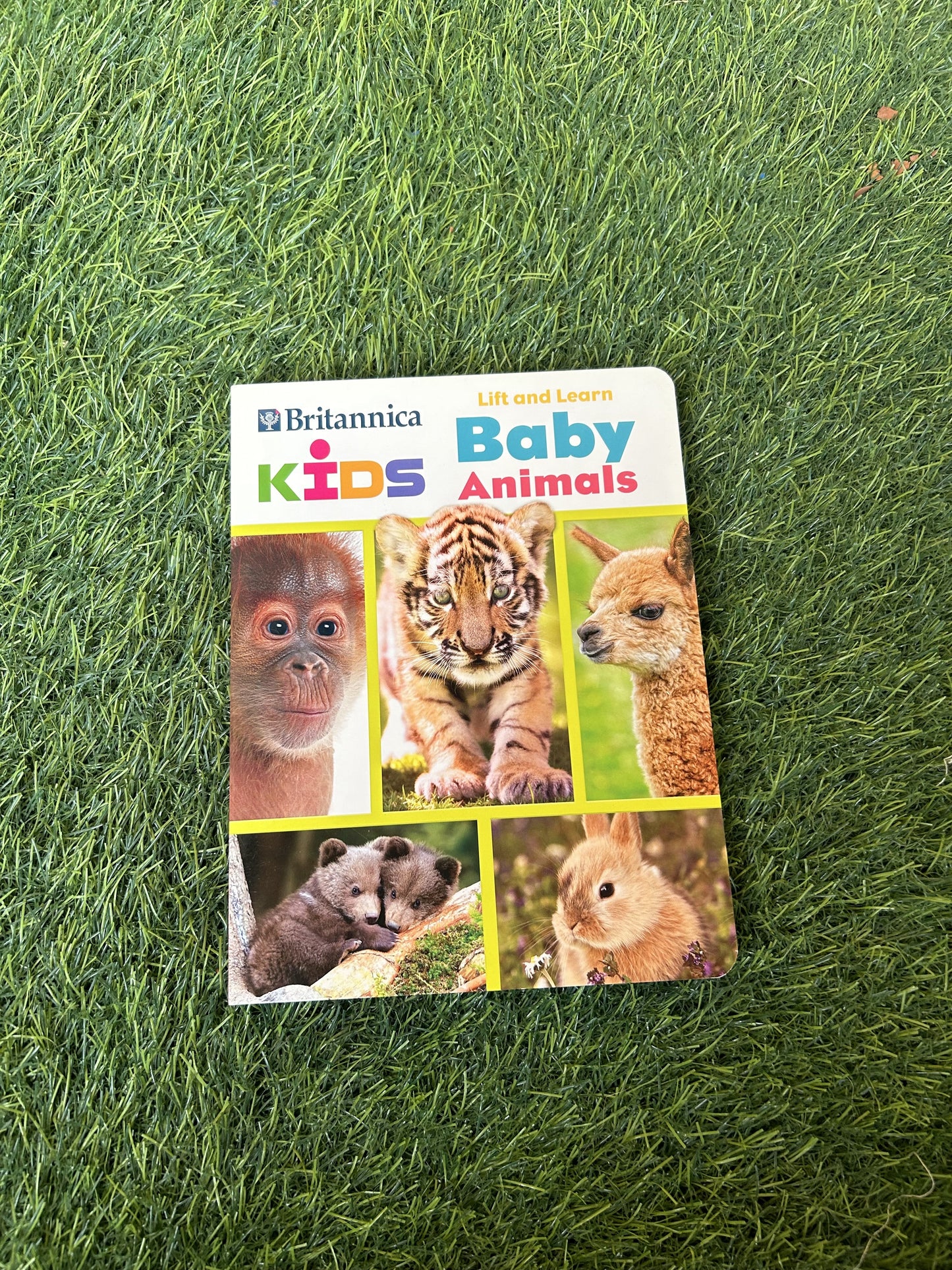 Lift & Learn Baby Animals