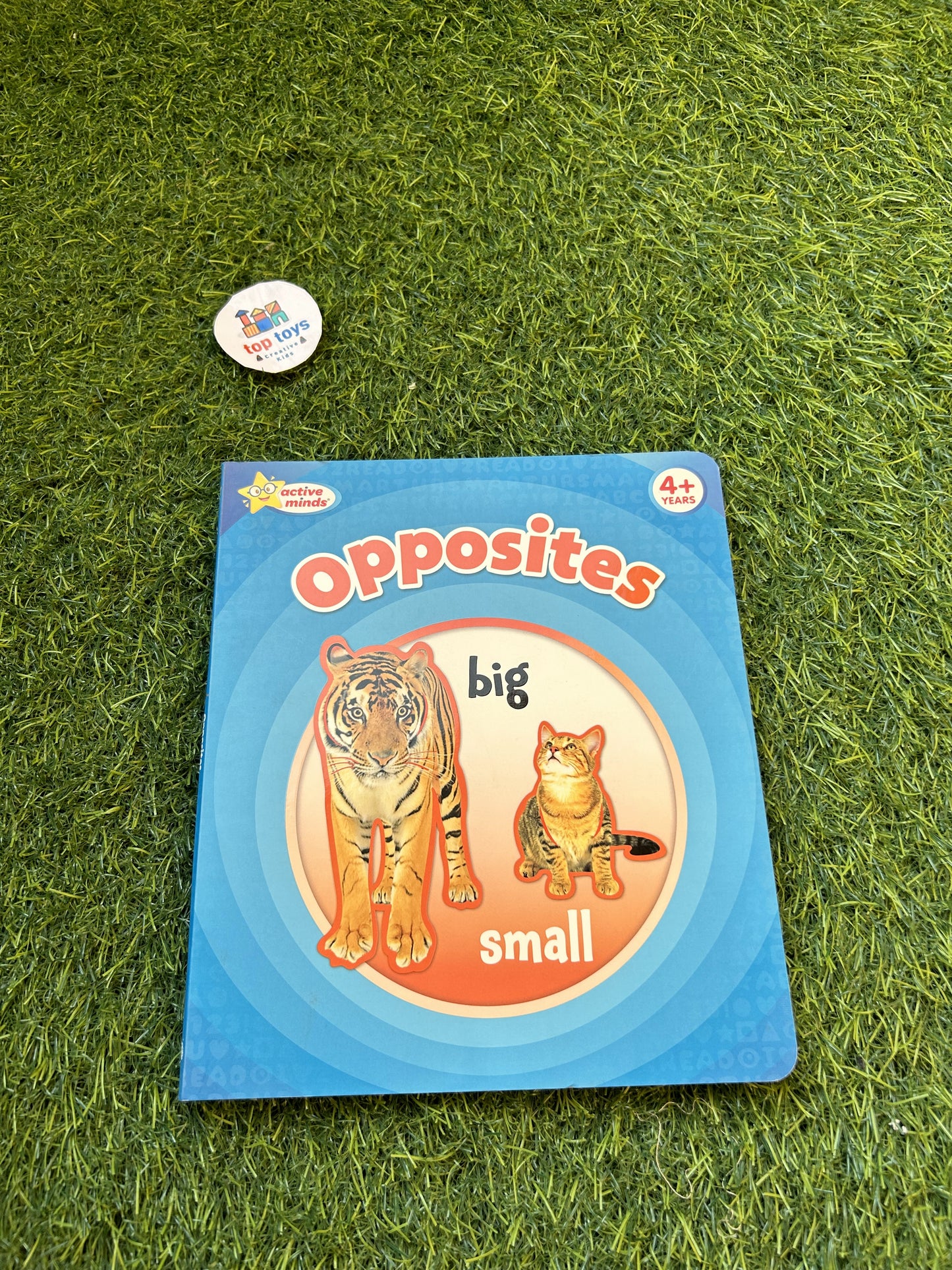 Opposites Big Small