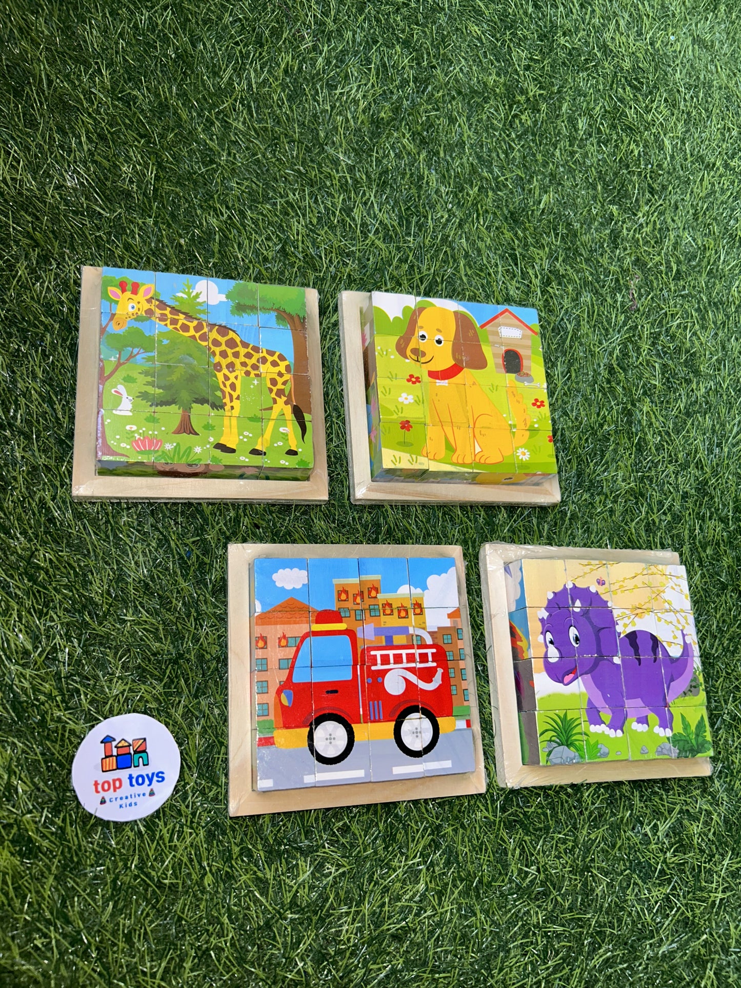 Wooden Puzzle 6*1