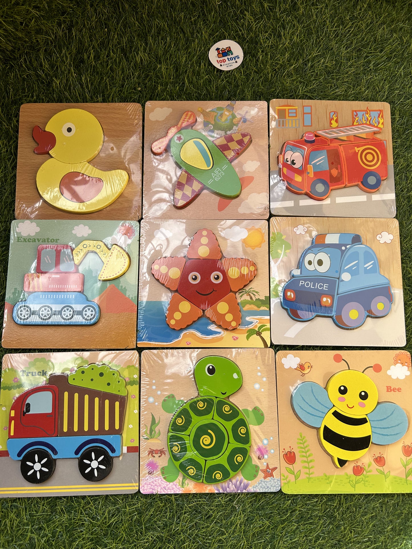 Wooden Puzzle Shapes