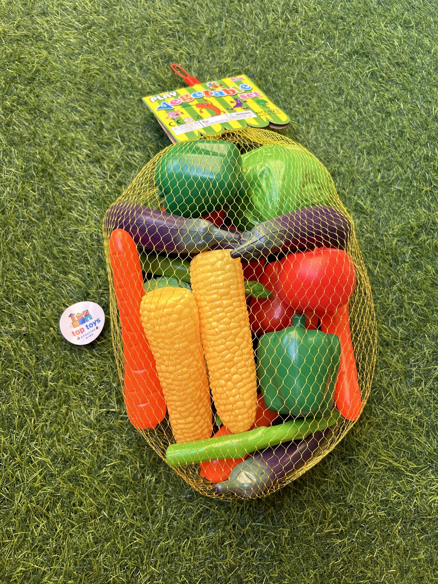 Fruits & Vegetables Plastic Models